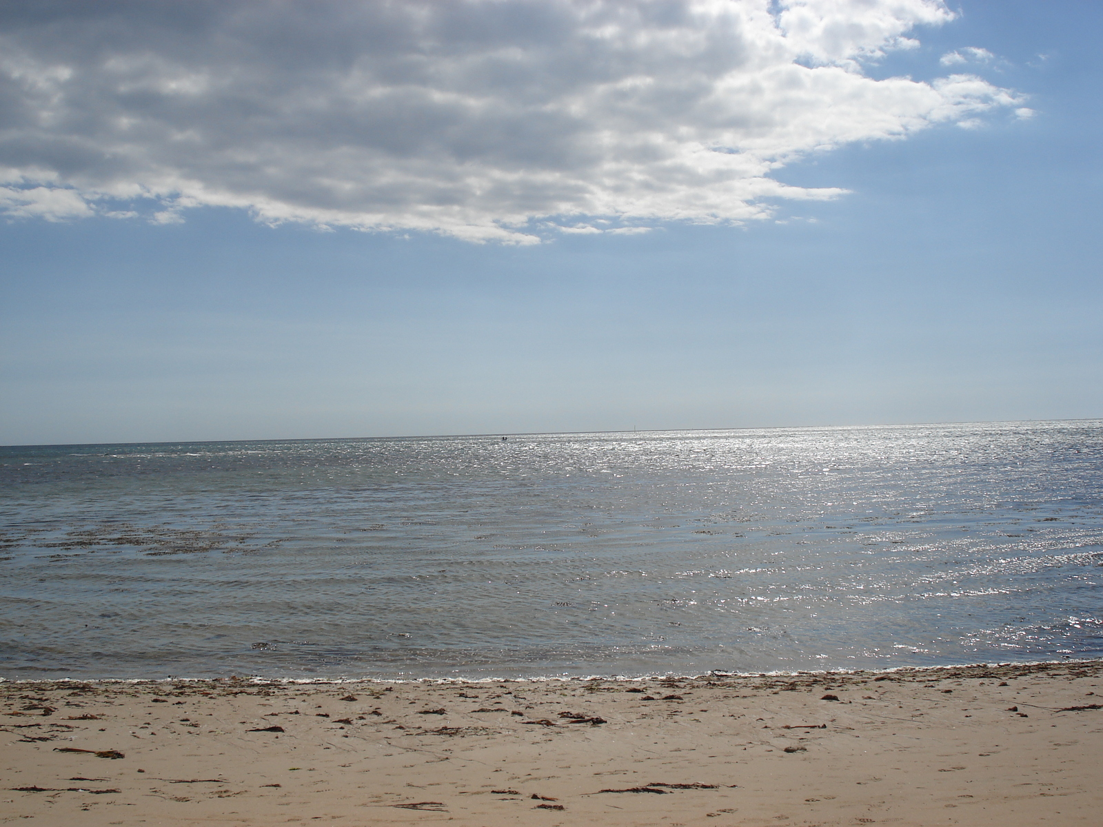 照片 法国(France) 努瓦尔穆捷(Noirmoutier) 2006-08 65