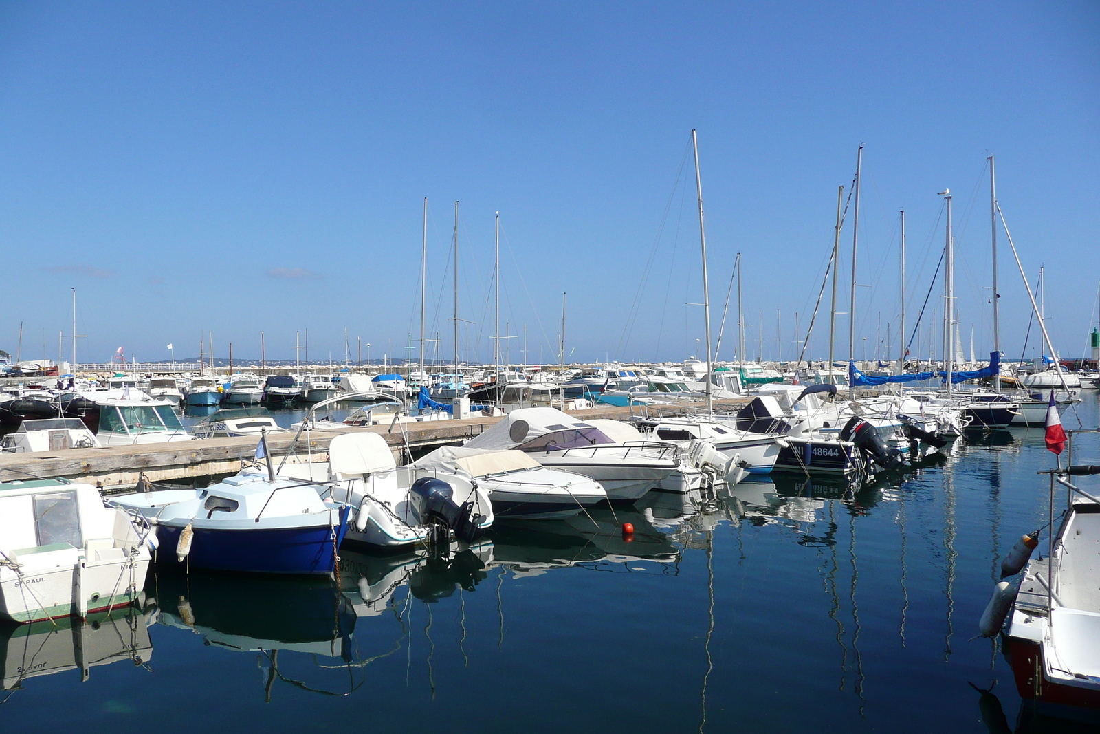 照片 法国(France) 戛纳(Cannes) 加扎涅尔海滩(Plage Gazagnaire) 2008-03 96