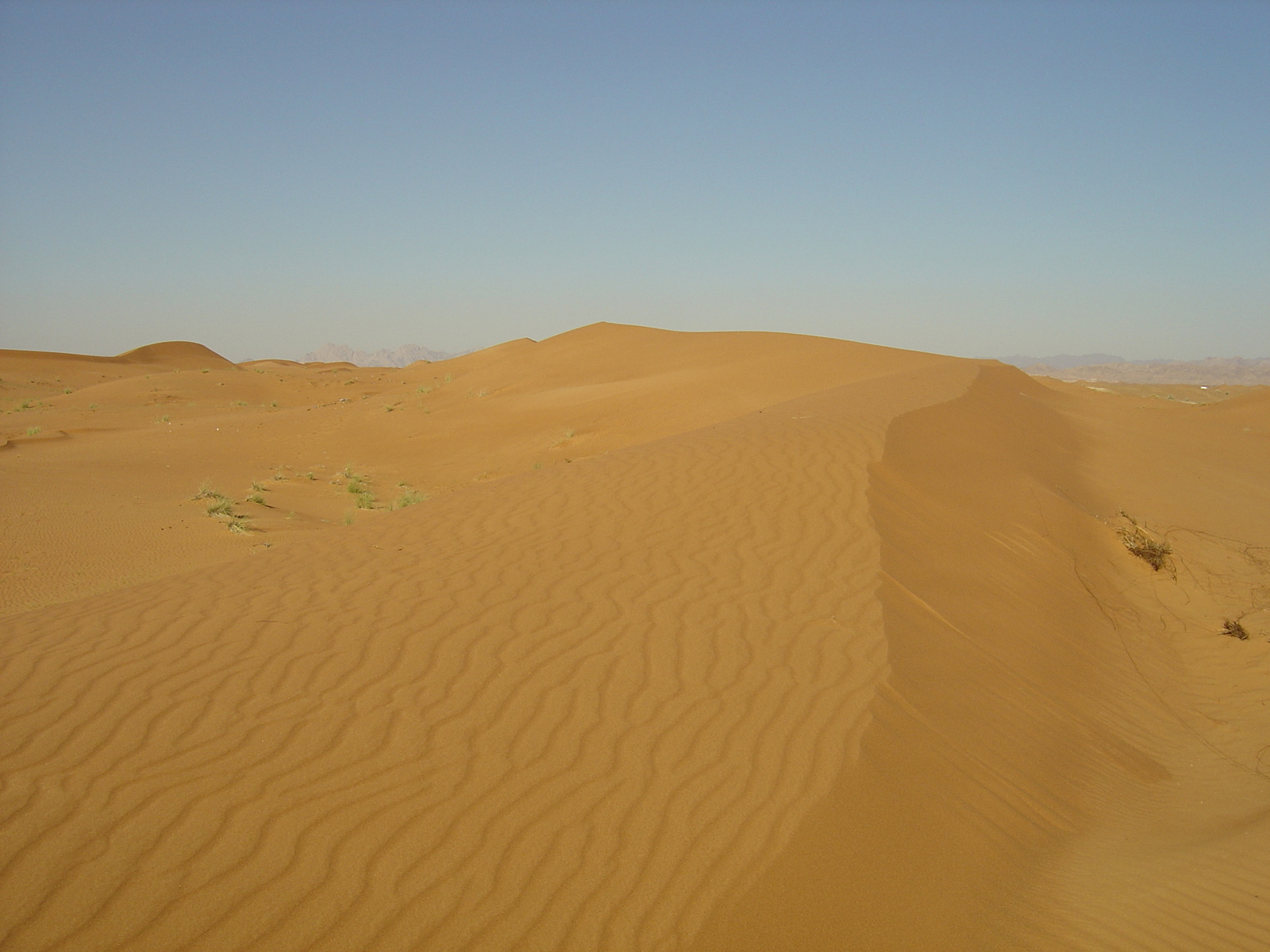 照片 阿联酋(United Arab Emirates) 迪拜至艾因公路(Dubai to Al Ain road) 2005-03 45