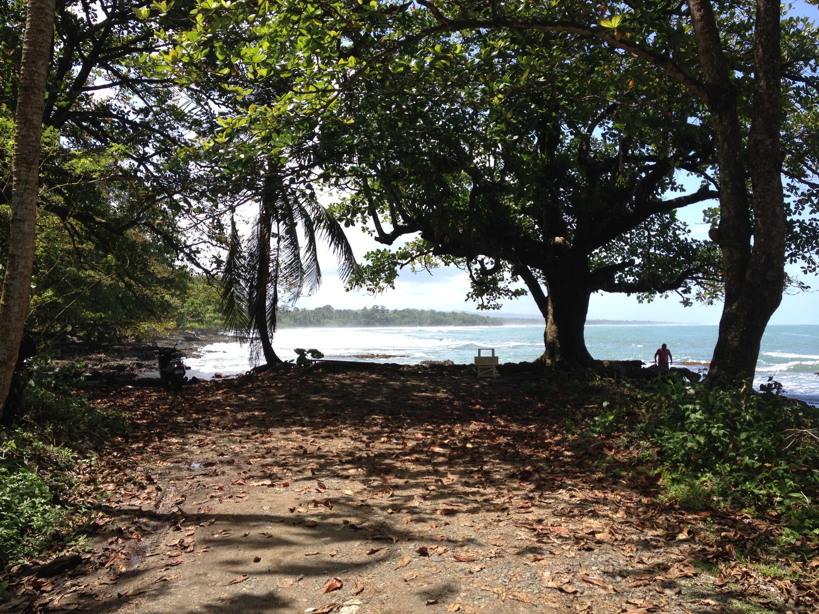 照片 哥斯达黎加(Costa Rica) 卡维塔(Cahuita) 2015-03 14