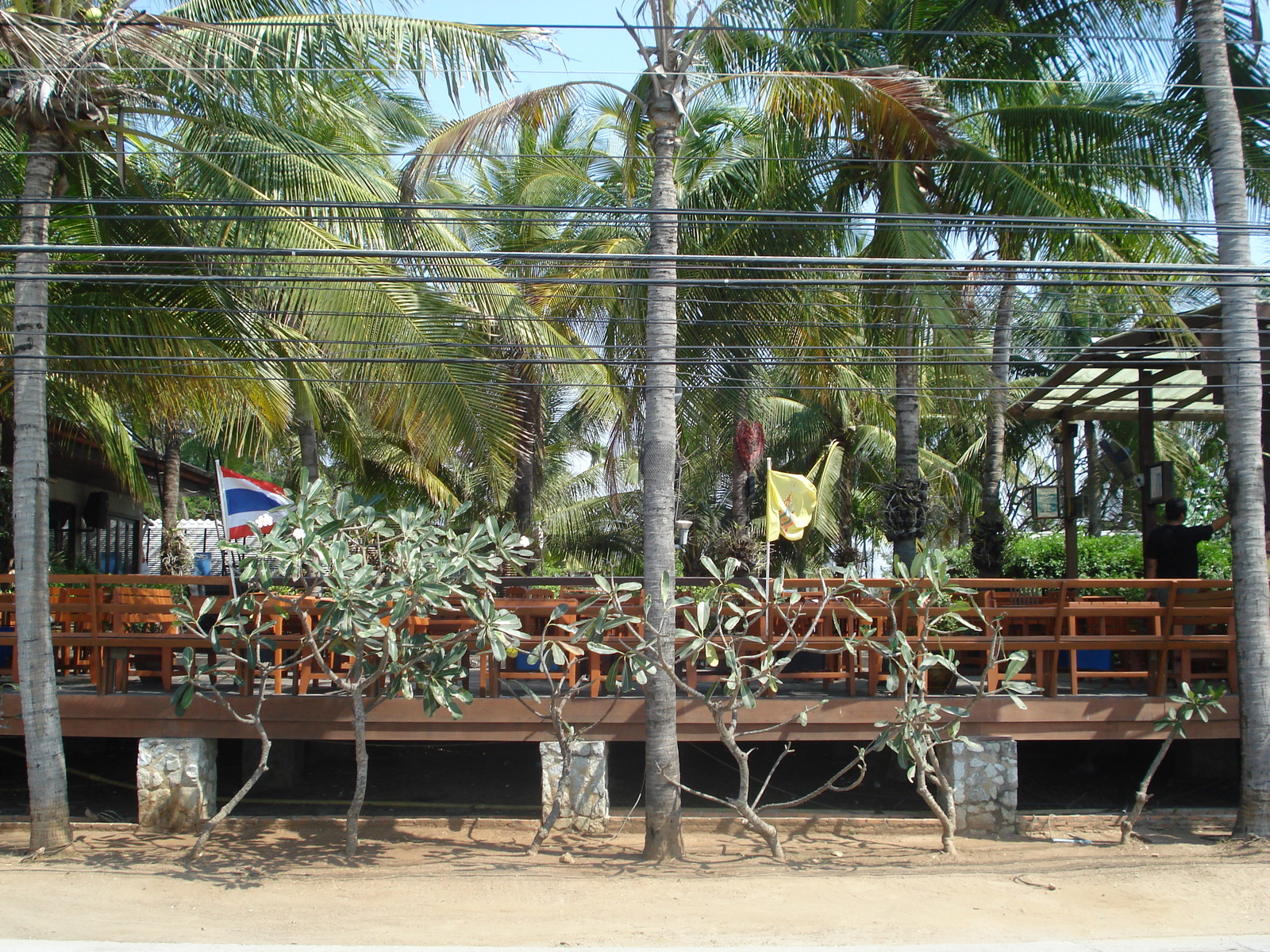 照片 泰国(Thailand) 宗甸(Jomtien) 宗甸海滨(Jomtien Seashore) 2008-01 23