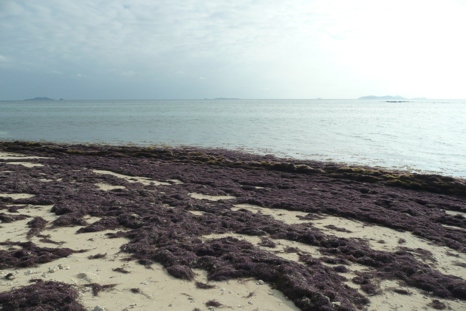照片 斐济(Fiji) 海滩寻宝者岛(Beachcomber Island) 2010-05 13