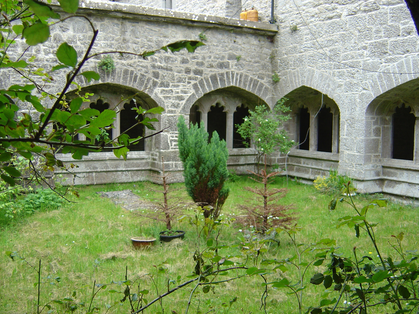 照片 爱尔兰(Ireland) 利默里克郡(Limerick County) 阿代尔(Adare) 2004-05 32