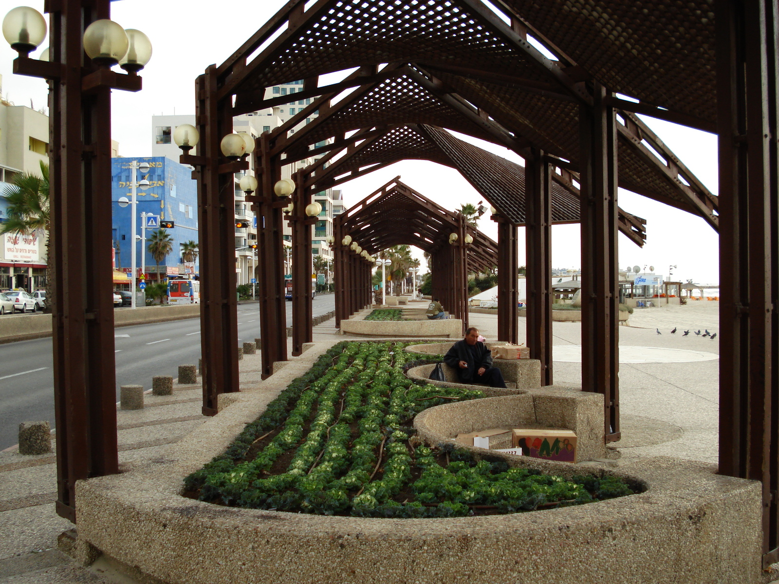 照片 以色列(Israel) 特拉维夫(Tel Aviv) 特拉维夫海岸(Tel Aviv Sea Shore) 2006-12 225