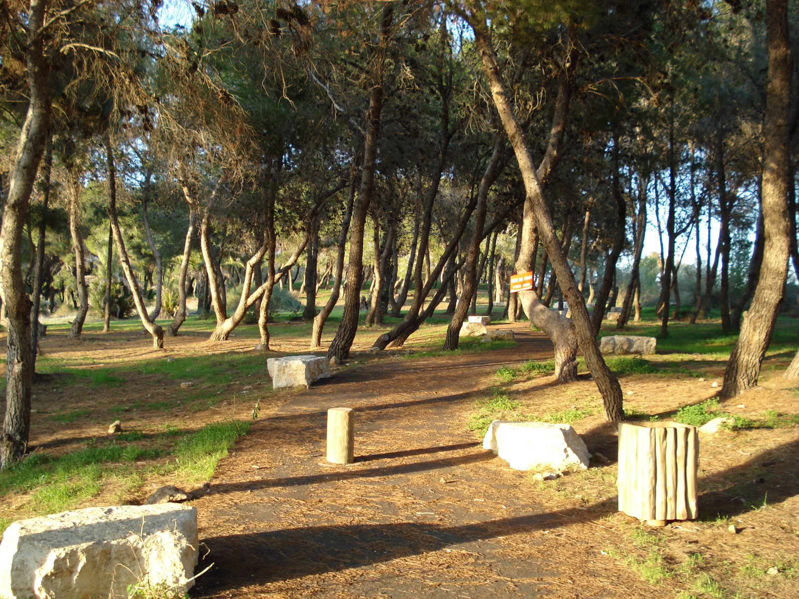 照片 以色列(Israel) 凯撒利亚(Caesarea) 2006-12 158