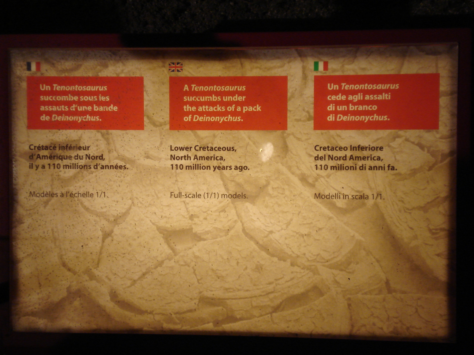 照片 法国(France) 巴黎(Paris) 发现宫(Palace of Discovery) 2006-04 44