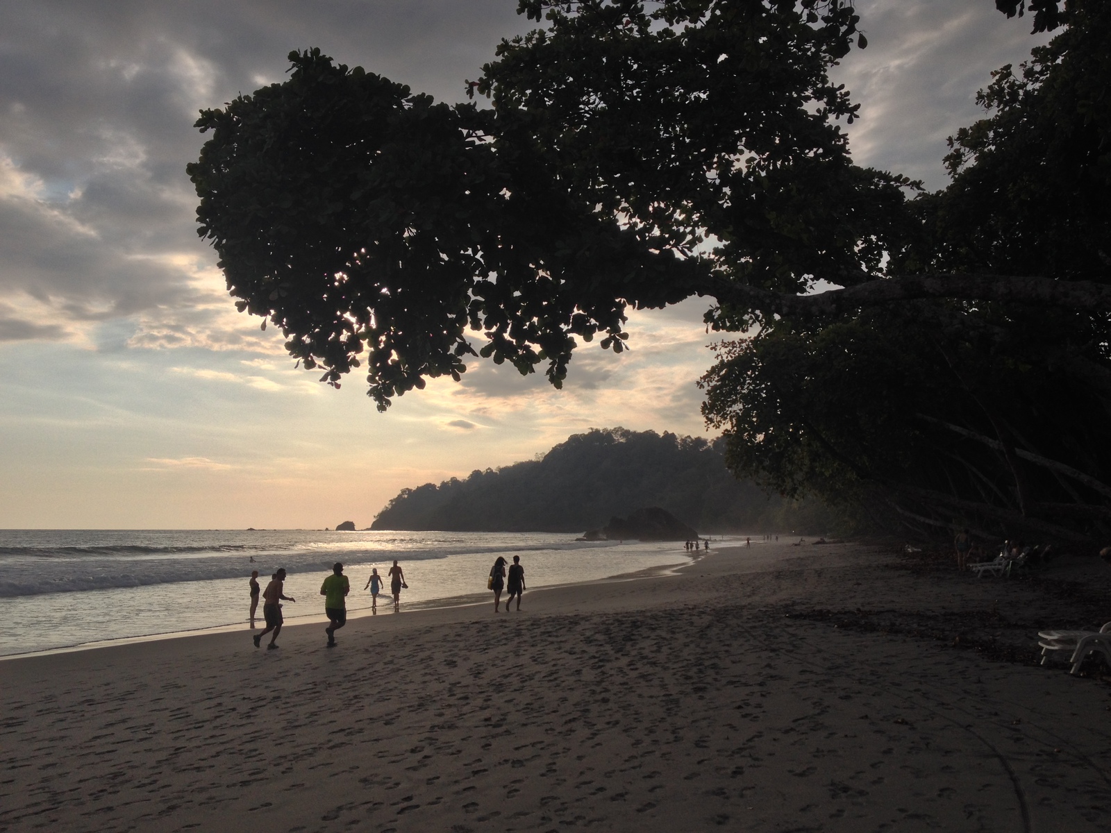 照片 哥斯达黎加(Costa Rica) 曼努埃尔安东尼奥(Manuel Antonio) 2015-03 426