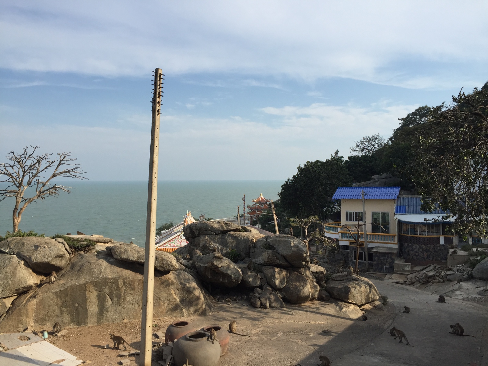 照片 泰国(Thailand) 华欣(Hua hin) 2016-01 32