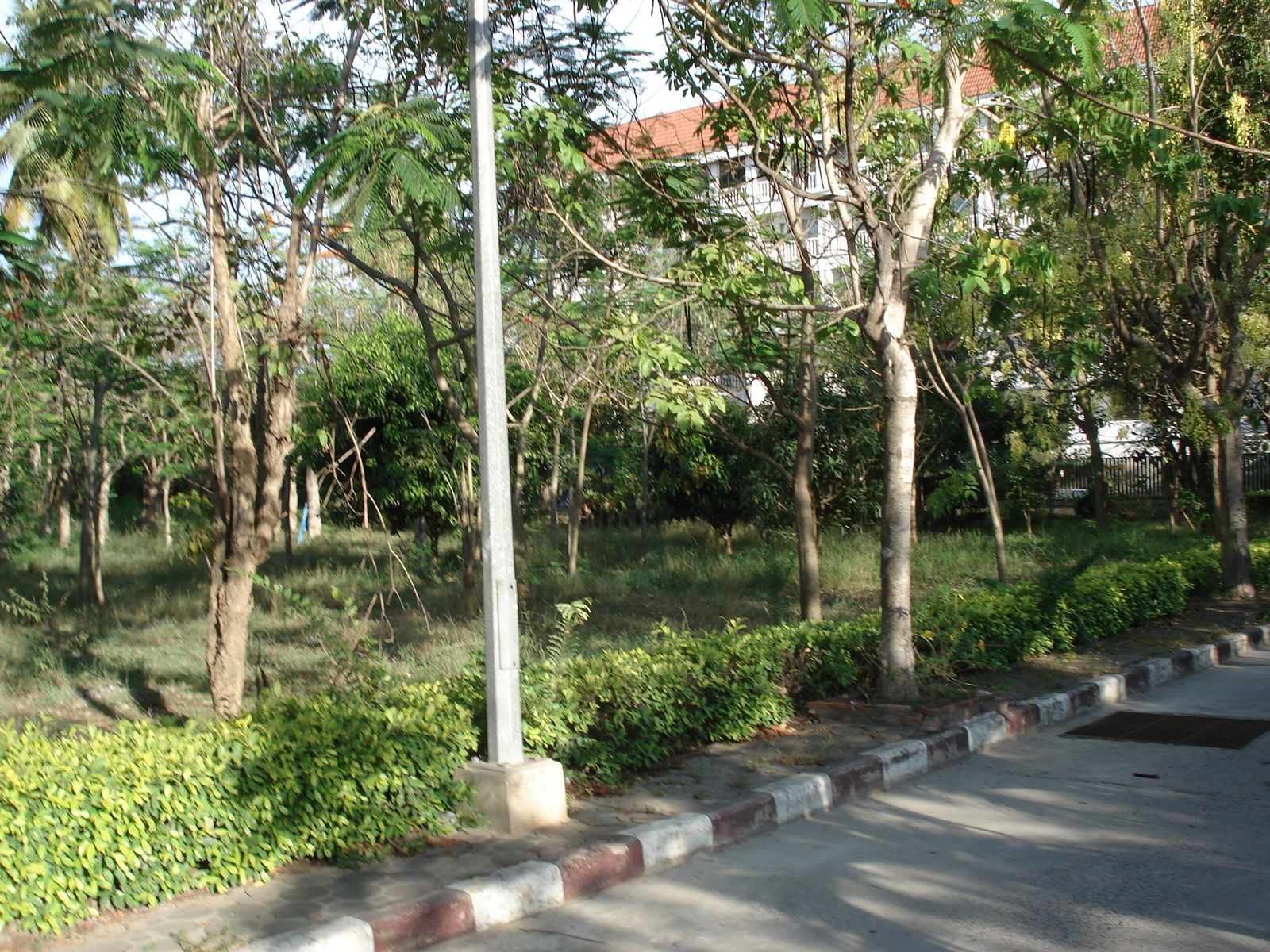 照片 泰国(Thailand) 宗甸海滩(Jomtien Beach) 2006-04 2