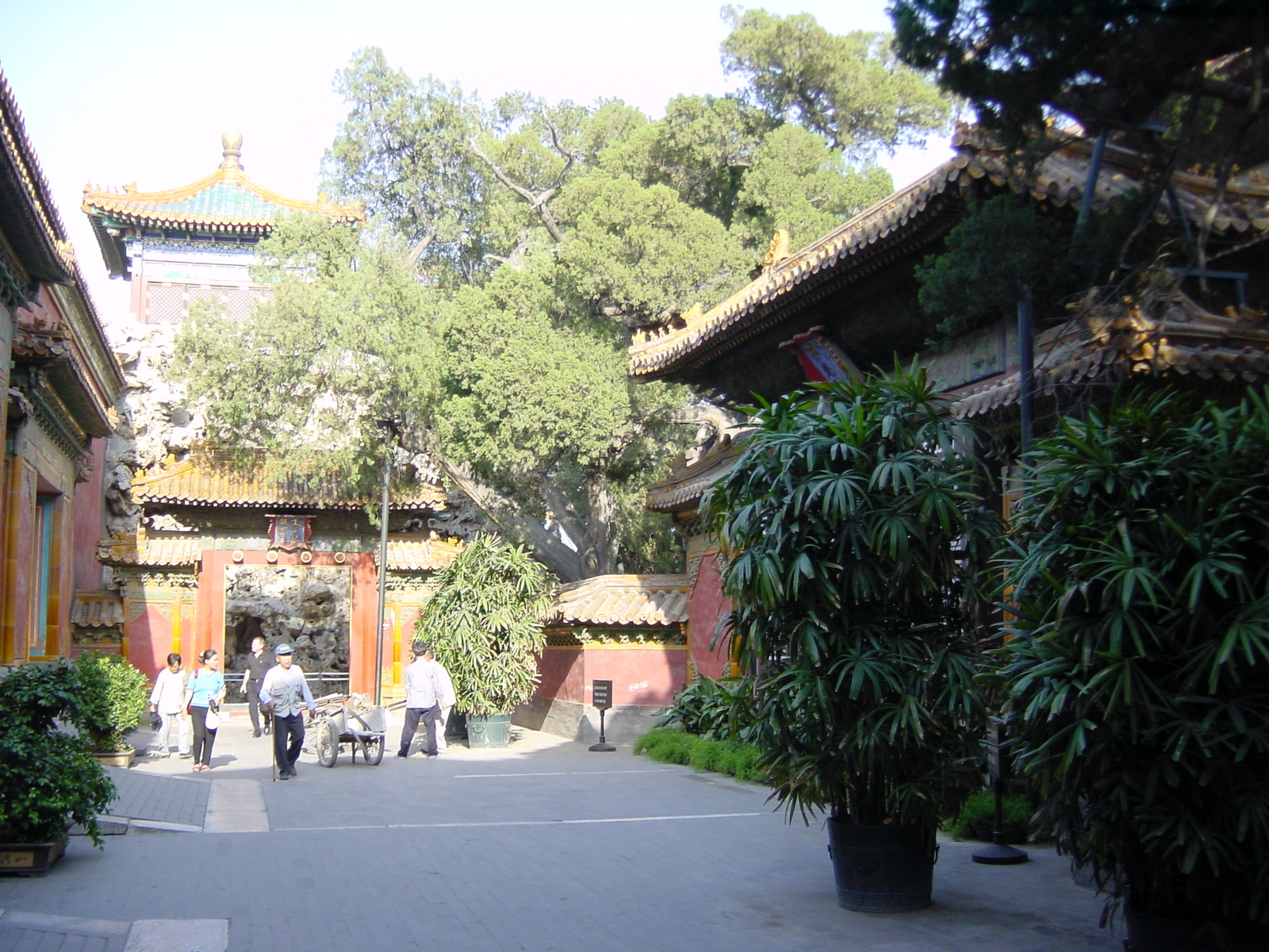 照片 中国(China) 北京(Beijing) 紫禁城(Forbidden City) 2002-05 110