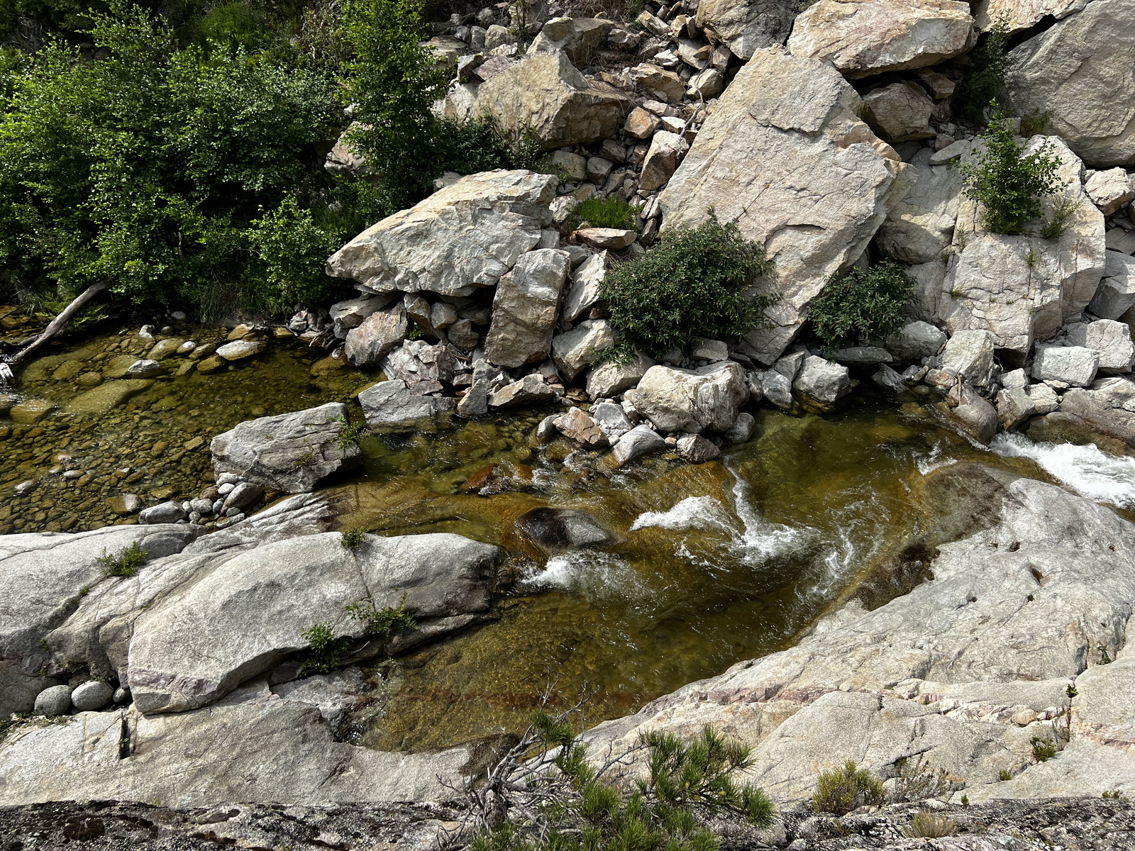照片 法国(France) 科西嘉岛(Corsica) 基萨(Chisa) 2022-08 48