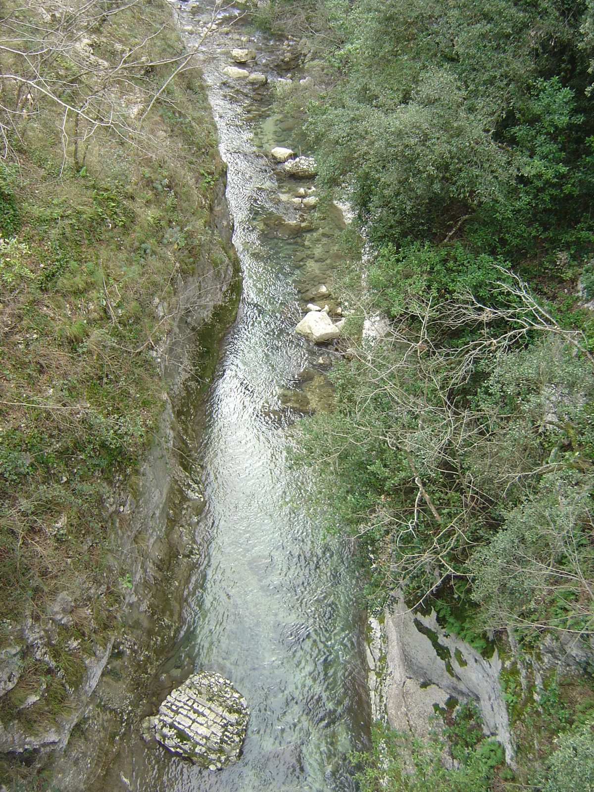 照片 法国(France) 卢普峡谷(Gorges du Loup) 2006-02 8