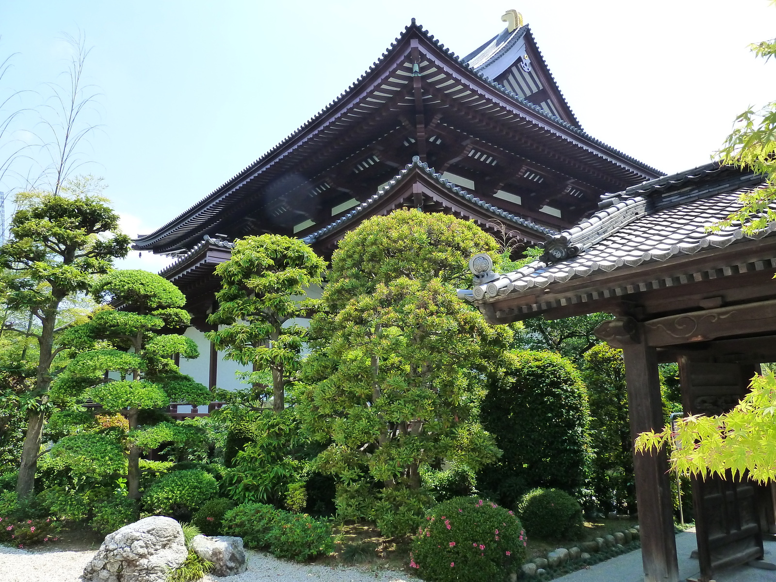 照片 日本(Japan) 东京(Tokyo) 芝公园(Shiba Park) 2010-06 20