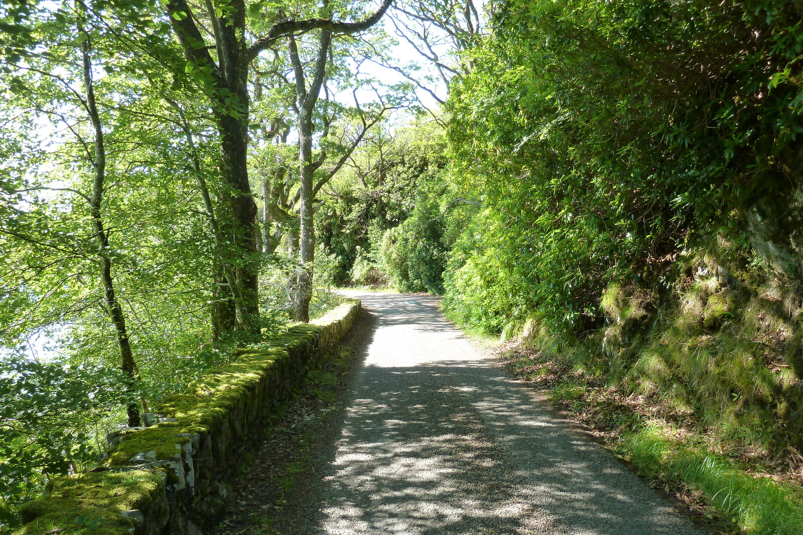 照片 英国(United Kingdom) 苏格兰(Scotland) 萨伦(Salen) 2011-07 79