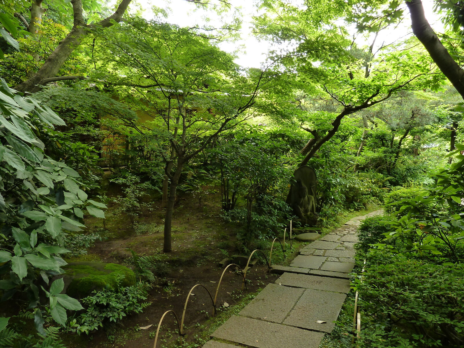 照片 日本(Japan) 东京(Tokyo) 根津美术馆(Nezu Museum) 2010-06 38