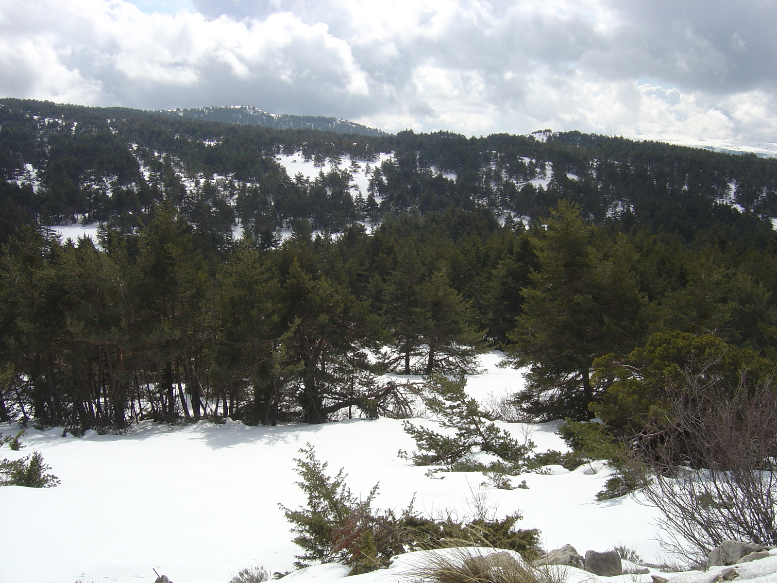 照片 法国(France) 格雷奥利耶(Greolieres) 2006-02 46