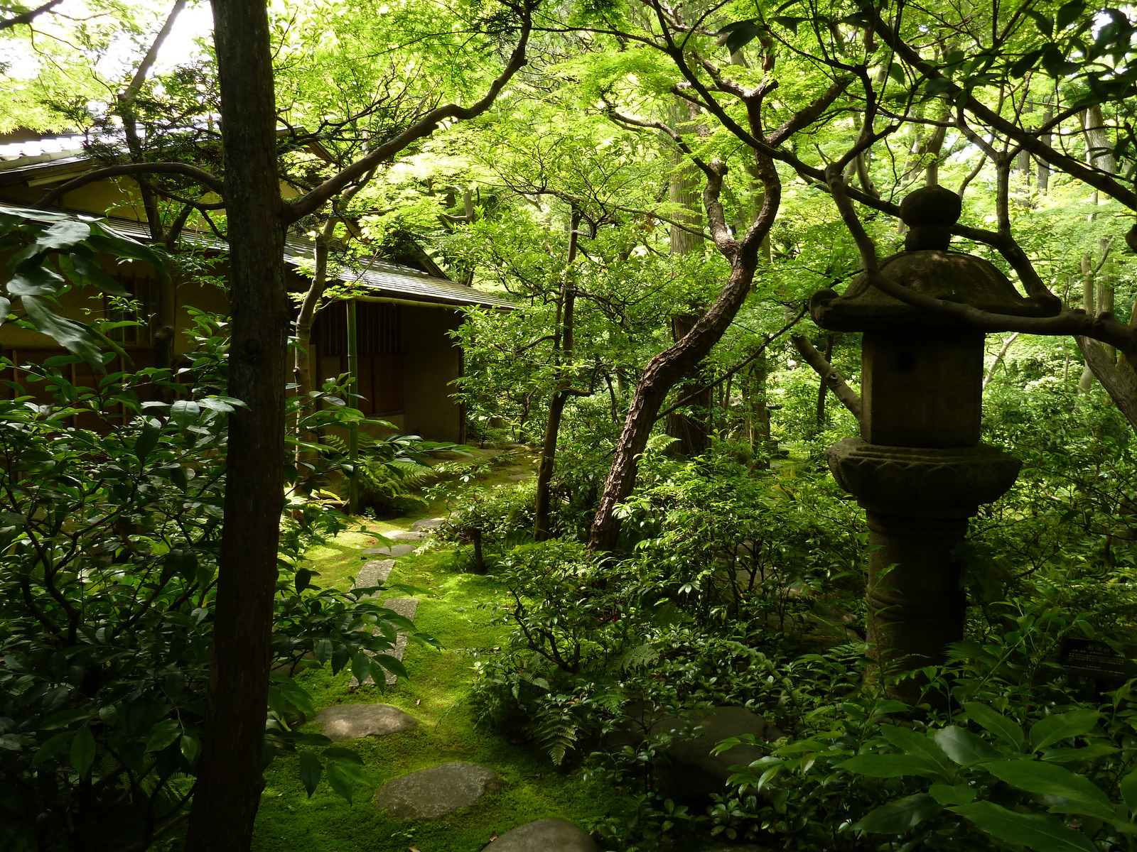 照片 日本(Japan) 东京(Tokyo) 根津美术馆(Nezu Museum) 2010-06 61