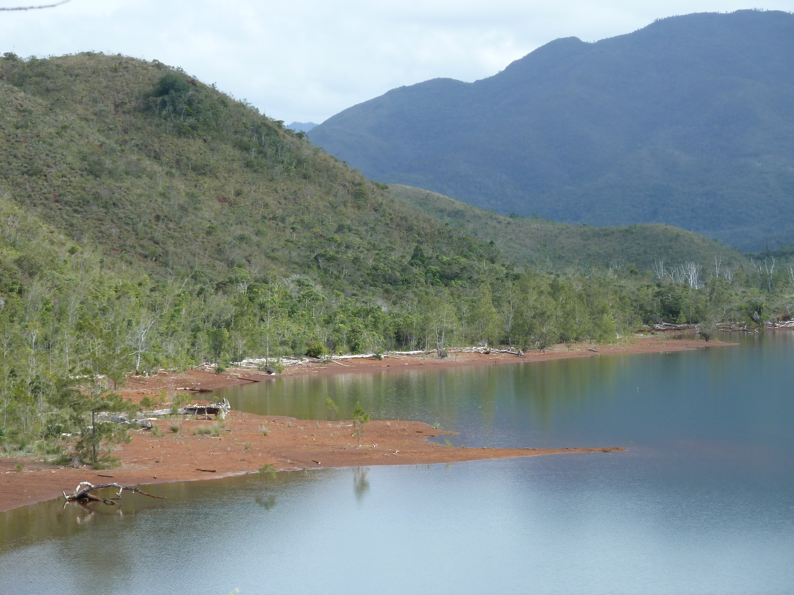 照片 新喀里多尼亚(New Caledonia) 蓝河公园(Parc de la Riviere Bleue) 2010-05 141