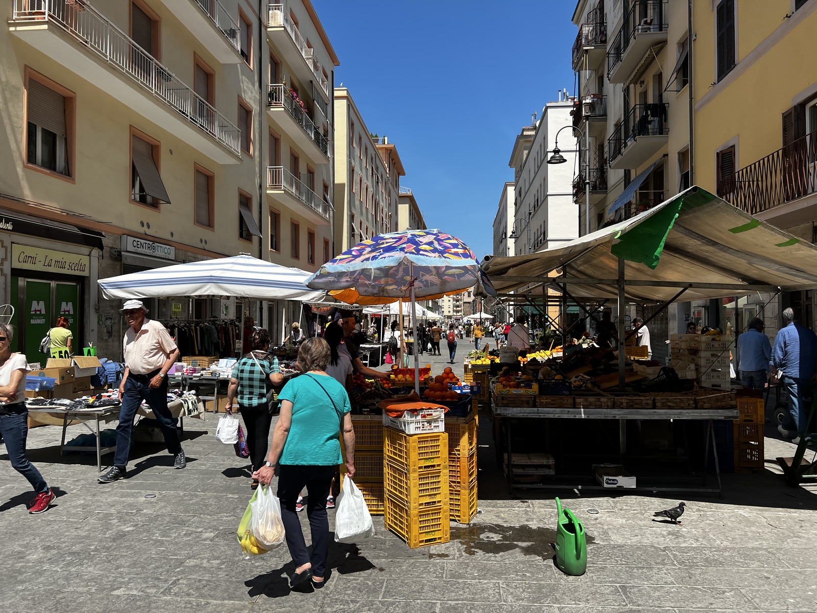 照片 意大利(Italy) 里窝那(Livorno) 2022-05 19