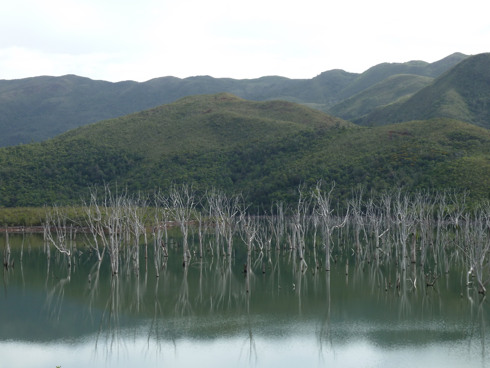 照片 新喀里多尼亚(New Caledonia) 2010-05 42