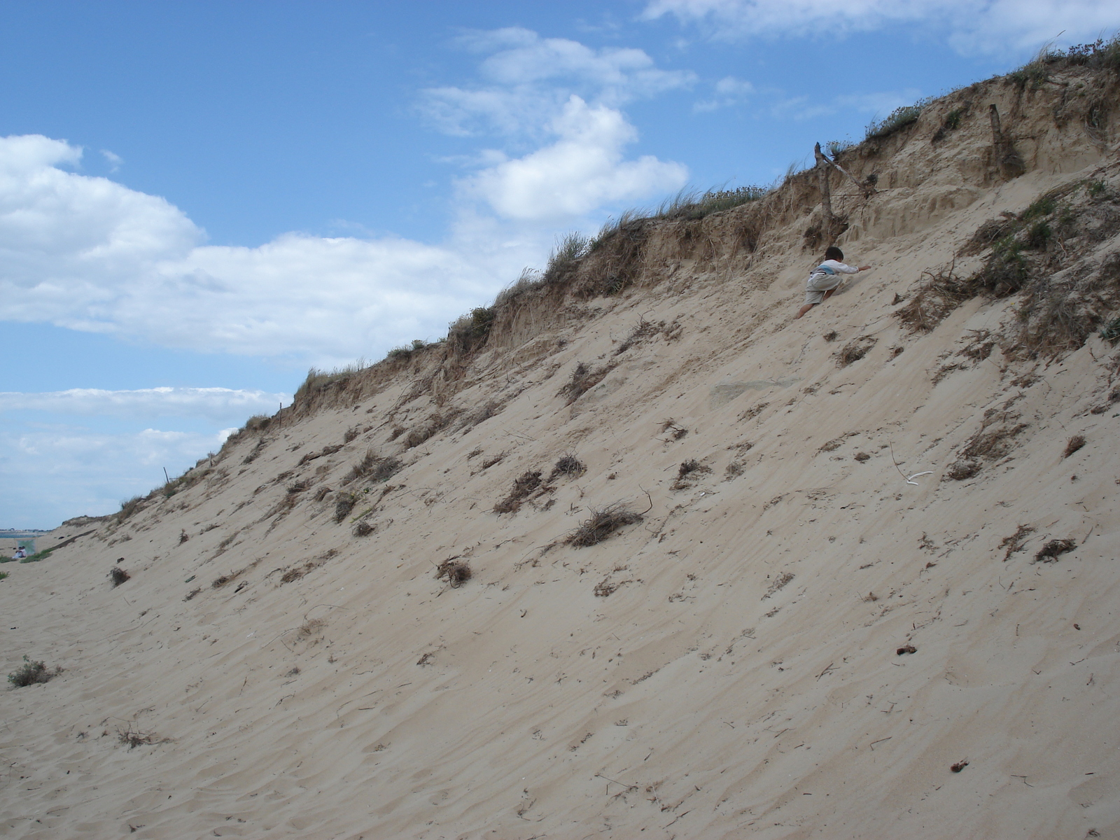照片 法国(France) 努瓦尔穆捷(Noirmoutier) 2006-08 35