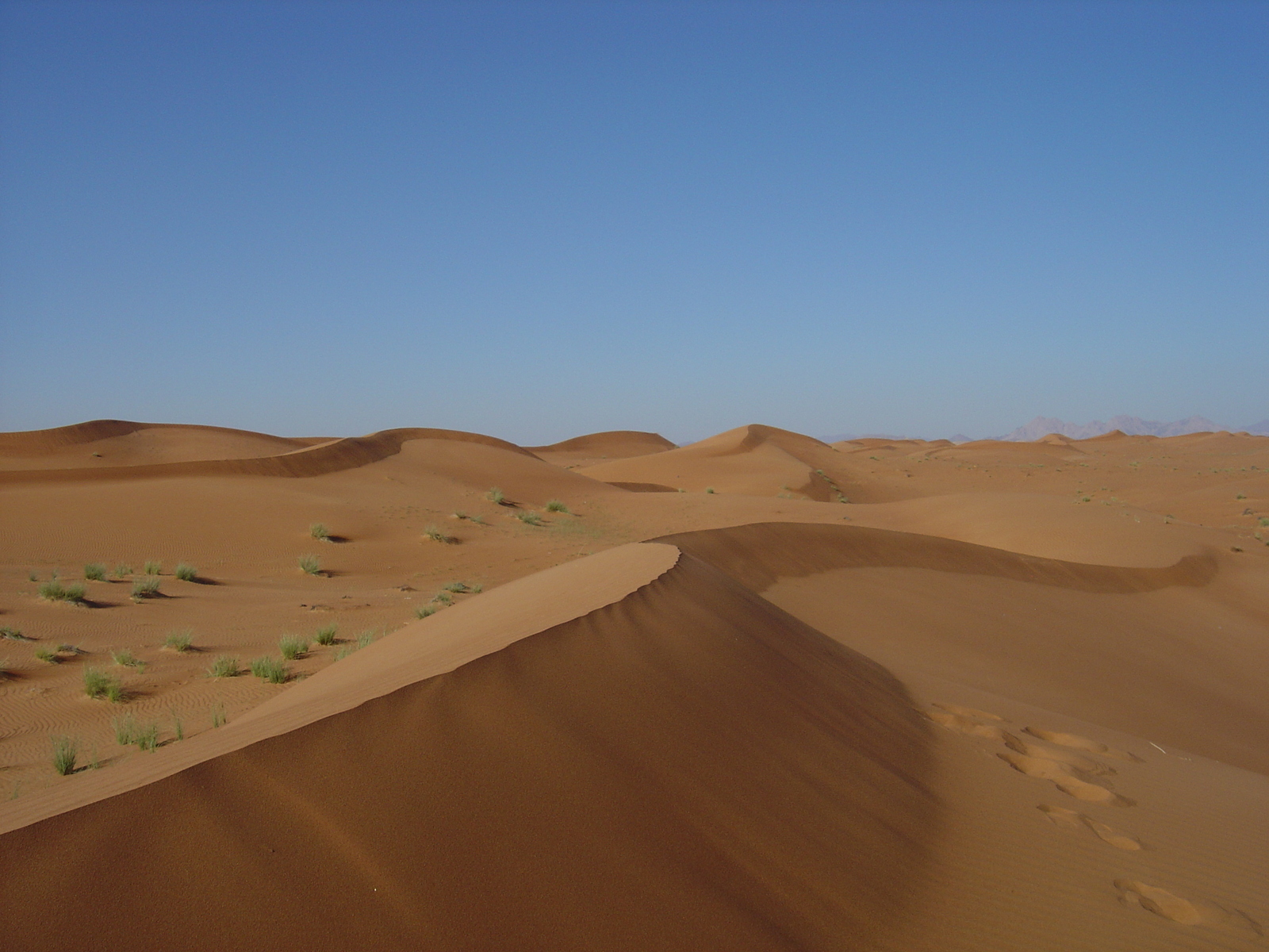 照片 阿联酋(United Arab Emirates) 迪拜至艾因公路(Dubai to Al Ain road) 2005-03 68