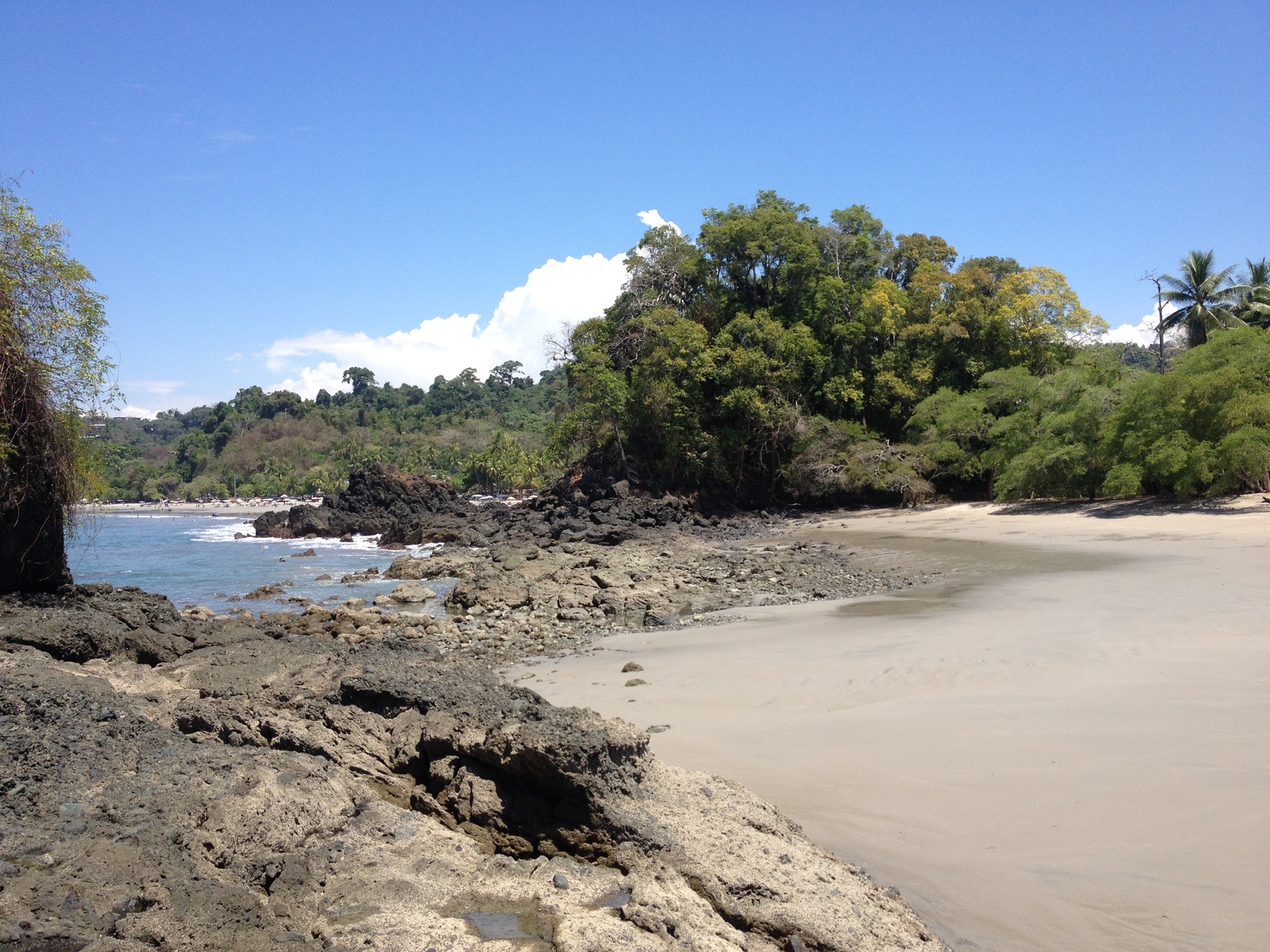 照片 哥斯达黎加(Costa Rica) 曼努埃尔安东尼奥(Manuel Antonio) 2015-03 261