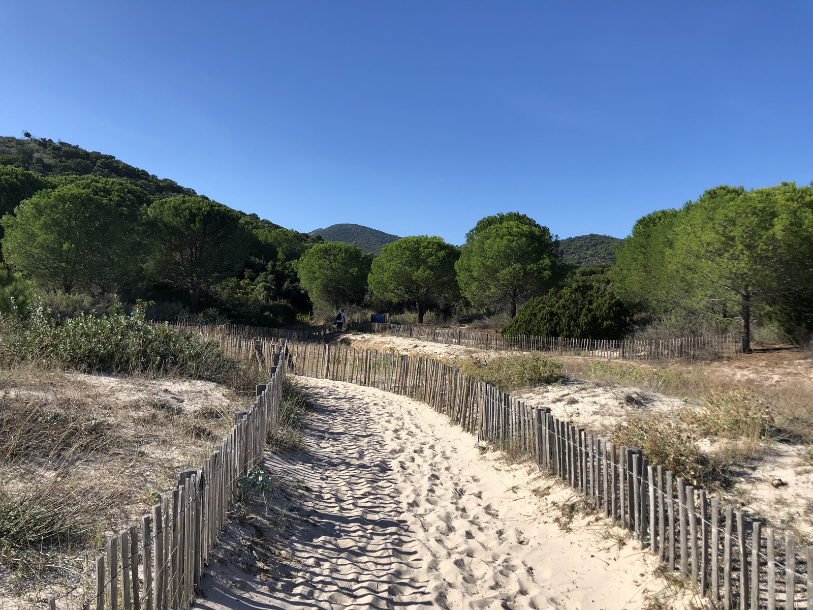 照片 法国(France) 科西嘉岛(Corsica) 福泰阿(Fautea) 热那亚塔海滩(Plage de la Tour Genoise) 2018-09 4