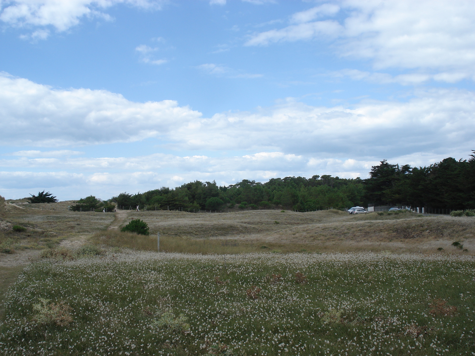照片 法国(France) 努瓦尔穆捷(Noirmoutier) 2006-08 90