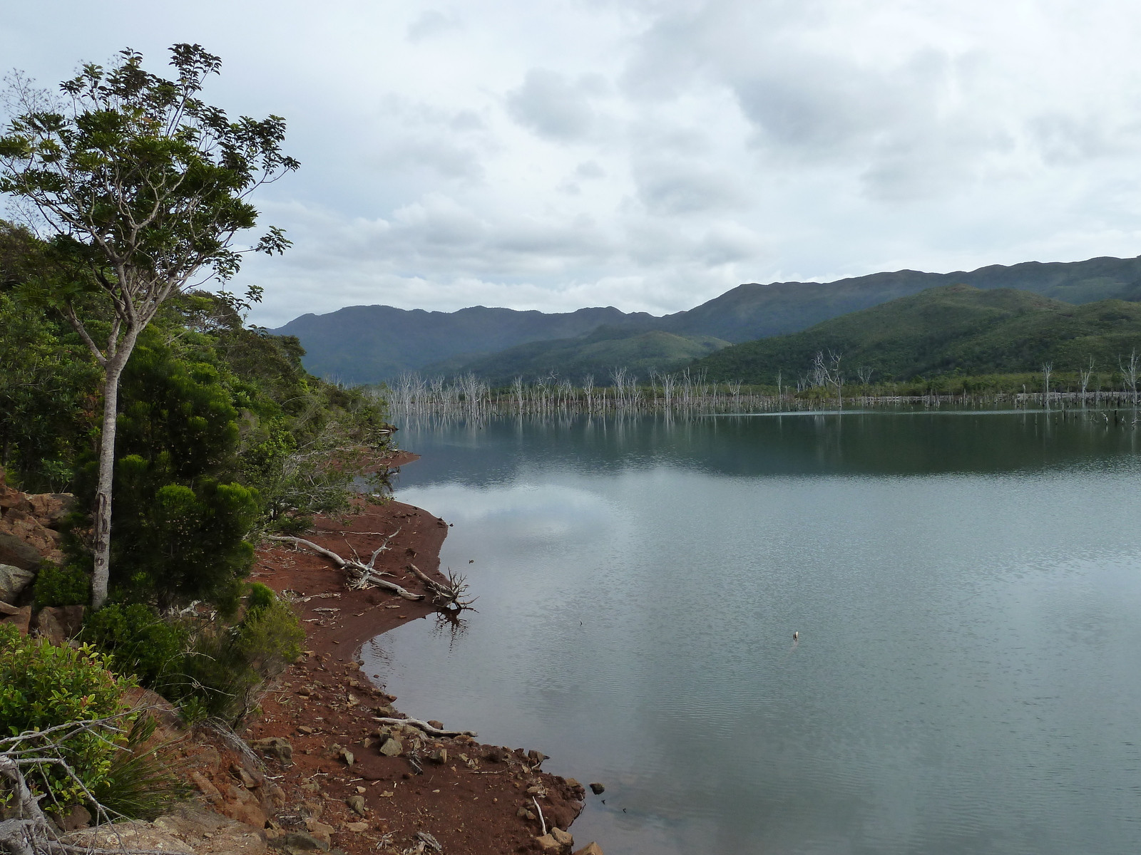 照片 新喀里多尼亚(New Caledonia) 蓝河公园(Parc de la Riviere Bleue) 2010-05 69