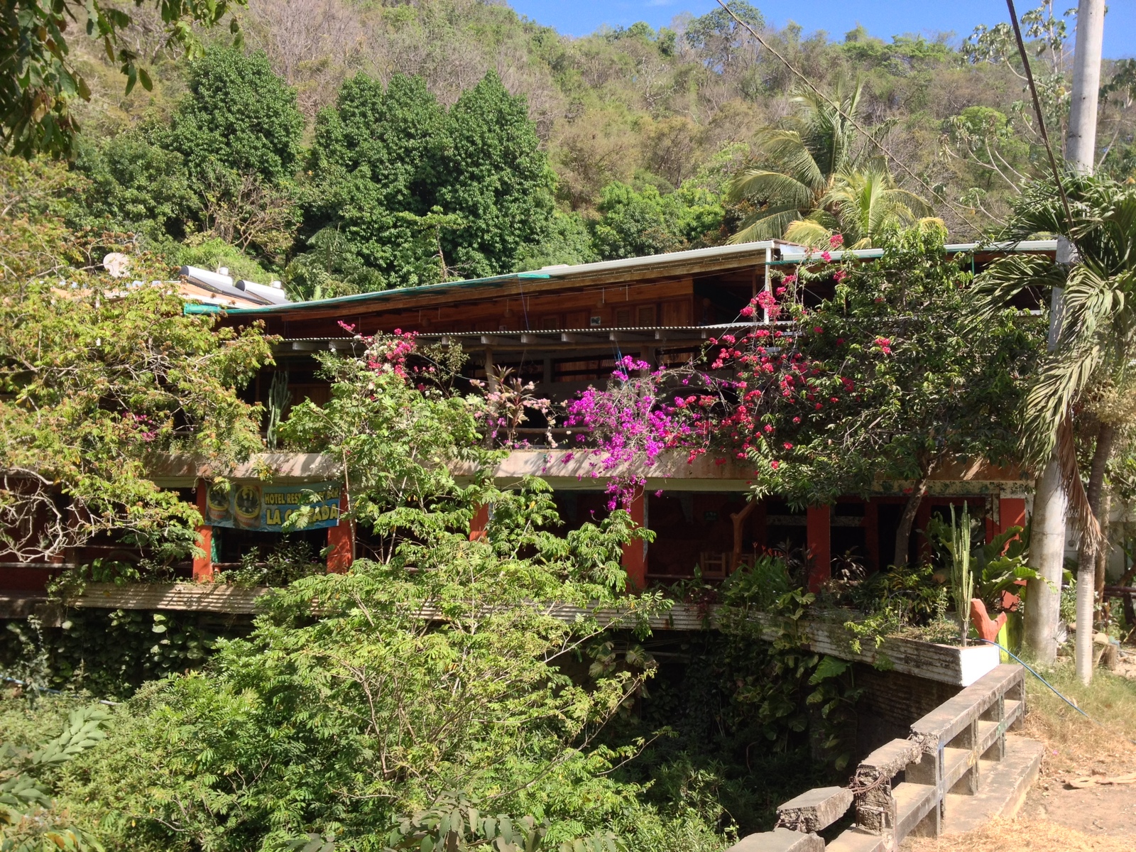 照片 哥斯达黎加(Costa Rica) 蒙特苏马(Montezuma) 2015-03 408