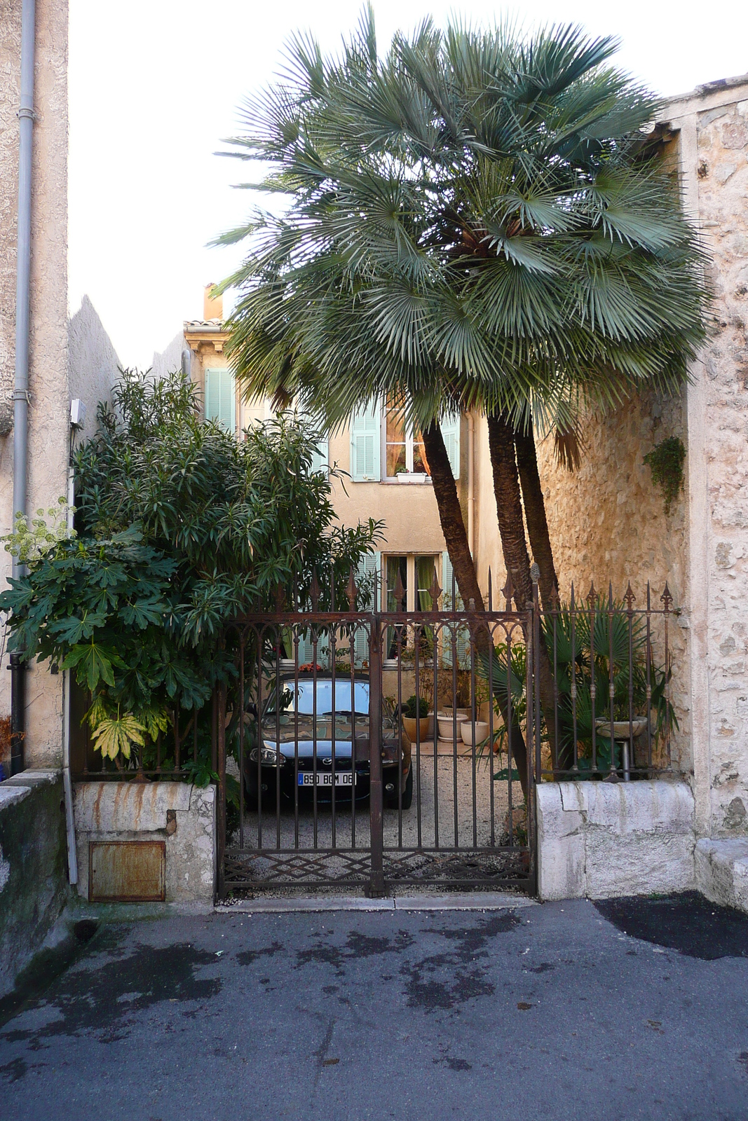 照片 法国(France) 圣让内(Saint Jeannet) 2007-11 14