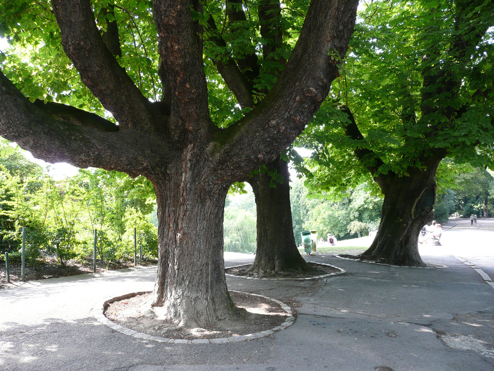 照片 法国(France) 巴黎(Paris) 肖蒙山丘公园(Parc des Buttes Chaumont) 2007-08 212