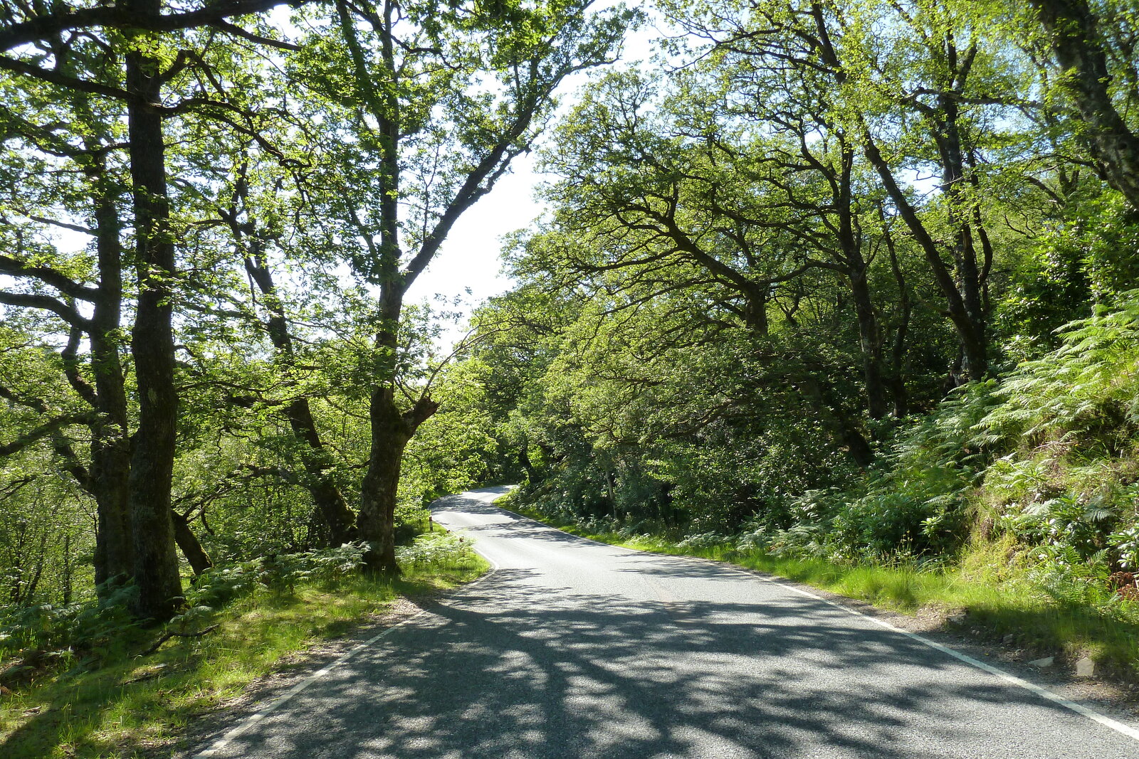 照片 英国(United Kingdom) 苏格兰(Scotland) 萨伦(Salen) 2011-07 64