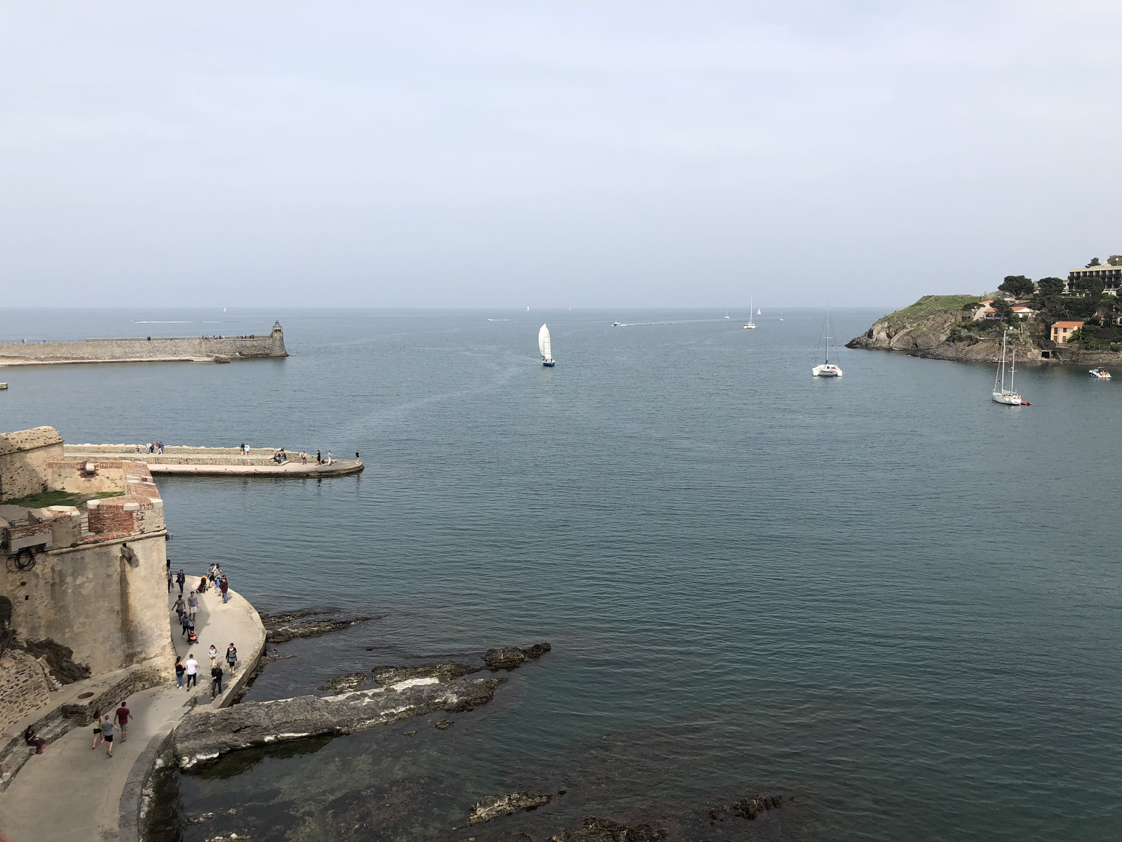 照片 法国(France) 科利乌尔(Collioure) 2018-04 416