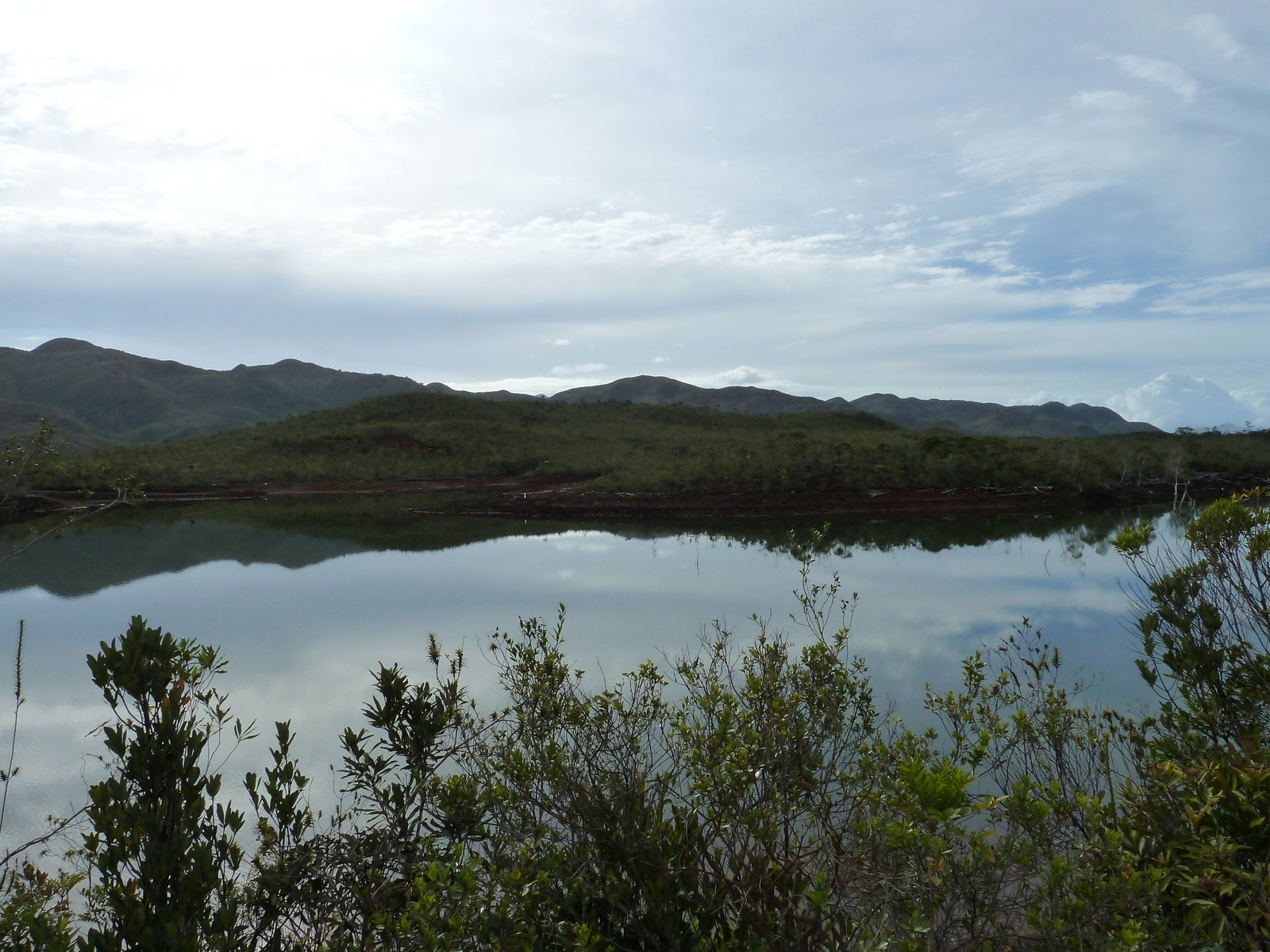 照片 新喀里多尼亚(New Caledonia) 蓝河公园(Parc de la Riviere Bleue) 2010-05 75