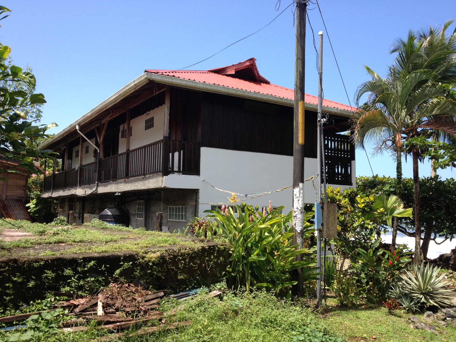 照片 哥斯达黎加(Costa Rica) 卡维塔(Cahuita) 2015-03 113