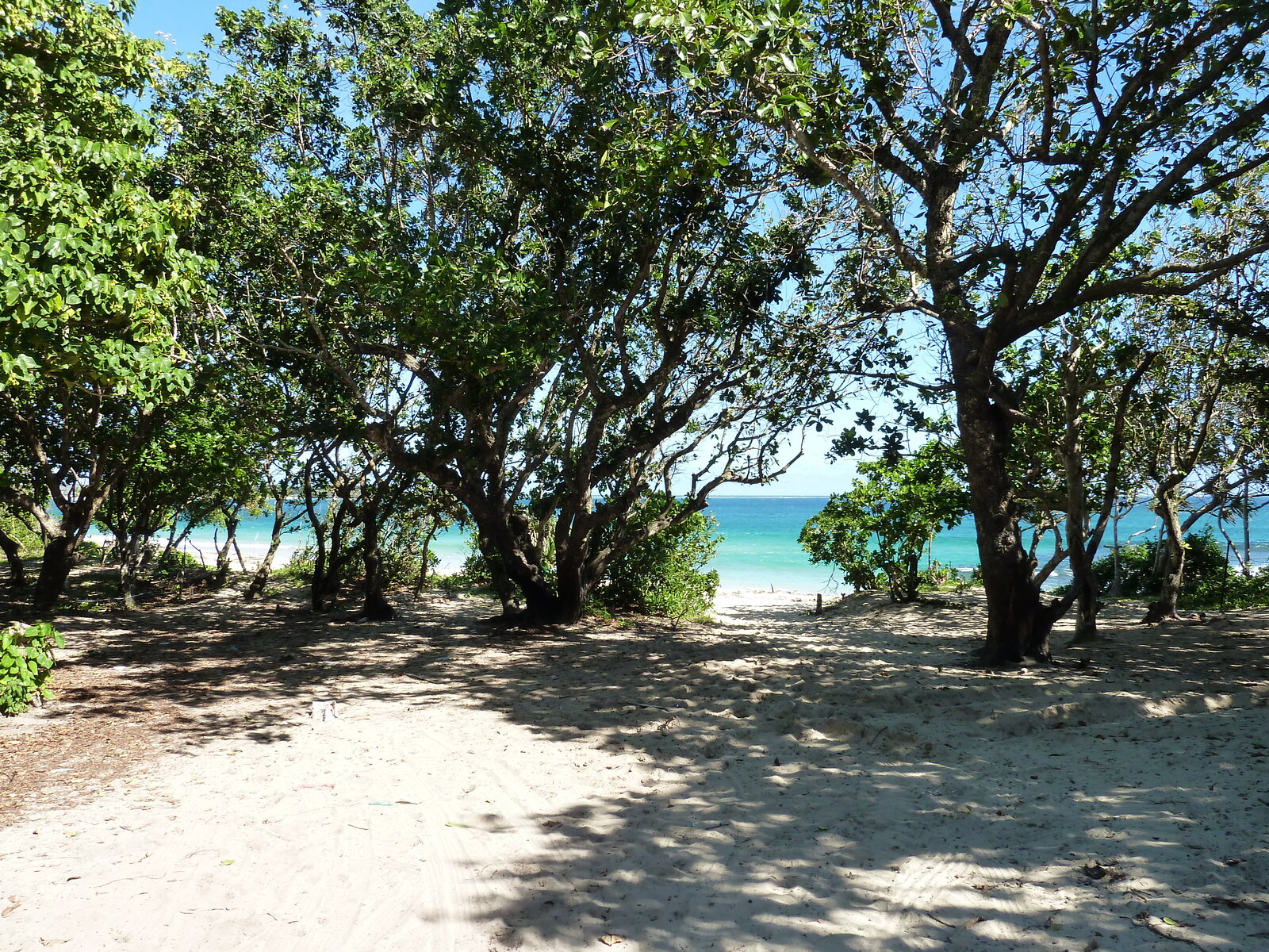 照片 斐济(Fiji) 纳塔多拉海滩(Natadola beach) 2010-05 46