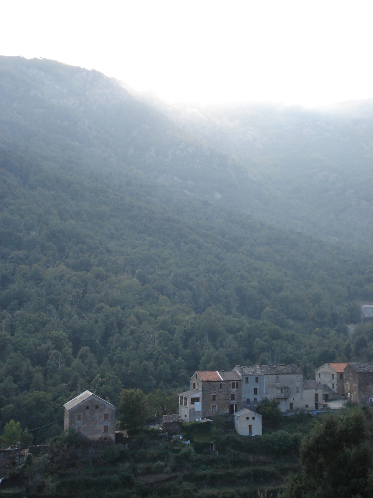 照片 法国(France) 科西嘉岛(Corsica) 阿莱萨尼山谷(Valle d'alesani) 2006-09 20