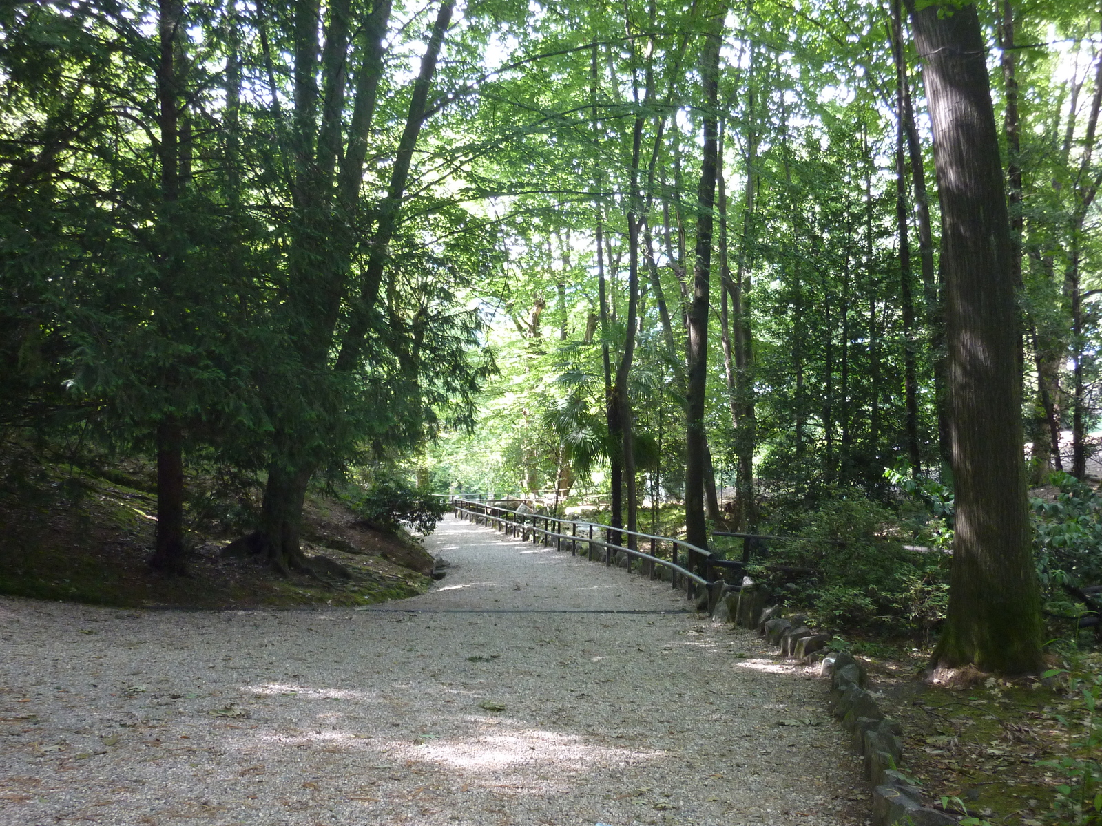 照片 意大利(Italy) 帕拉维奇诺别墅(Villa Pallavicino) 2009-06 38
