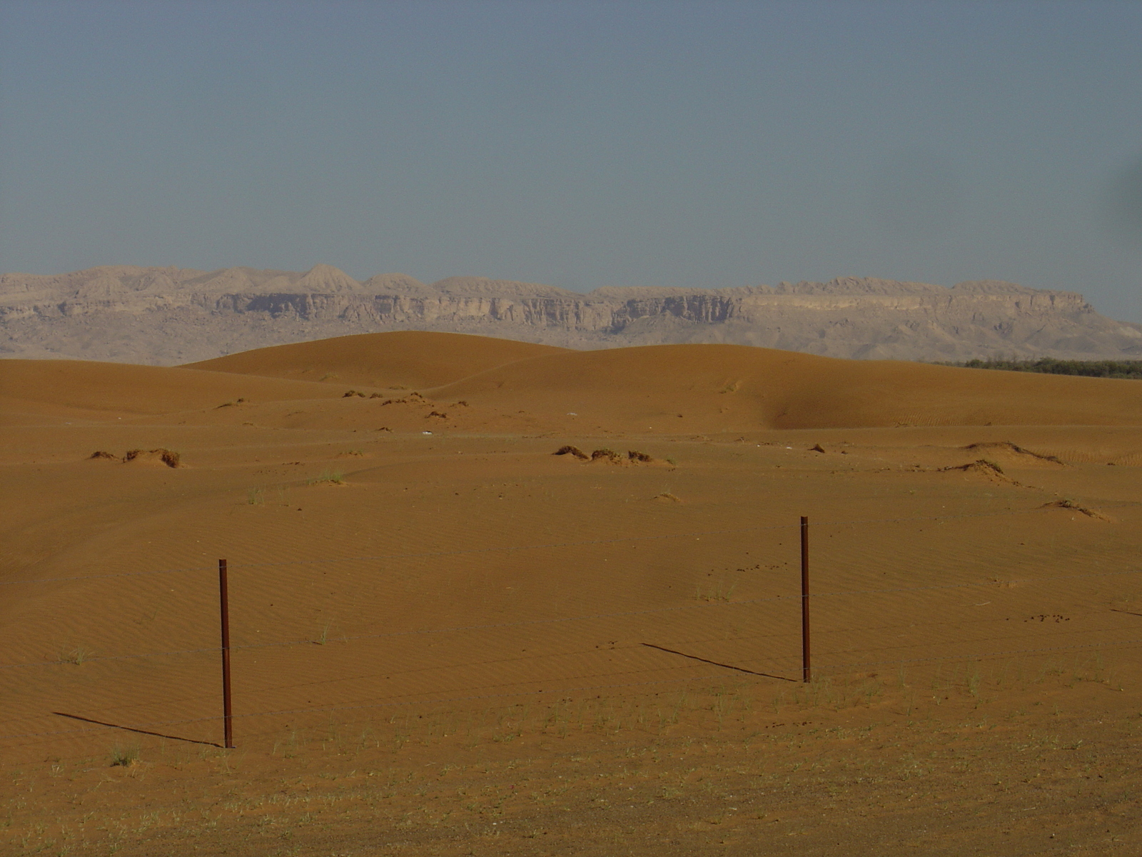 照片 阿联酋(United Arab Emirates) 迪拜至艾因公路(Dubai to Al Ain road) 2005-03 8