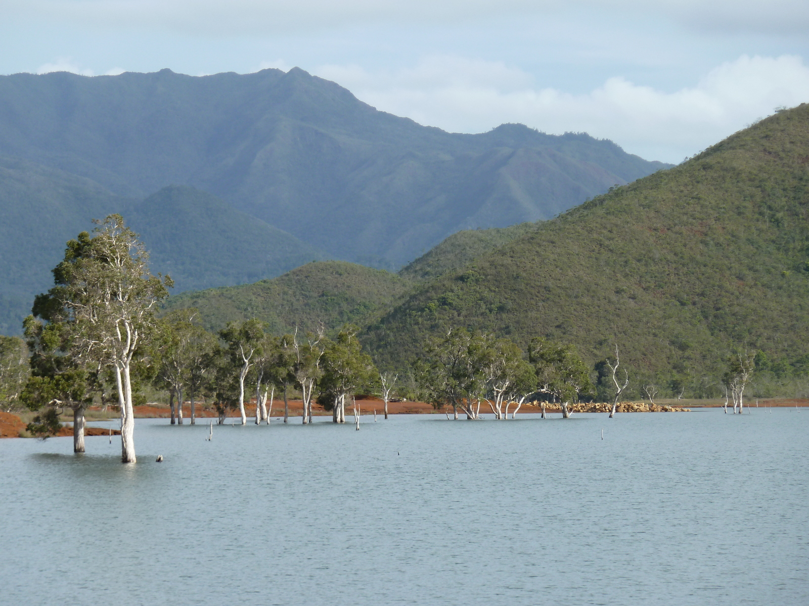 照片 新喀里多尼亚(New Caledonia) 蓝河公园(Parc de la Riviere Bleue) 2010-05 101