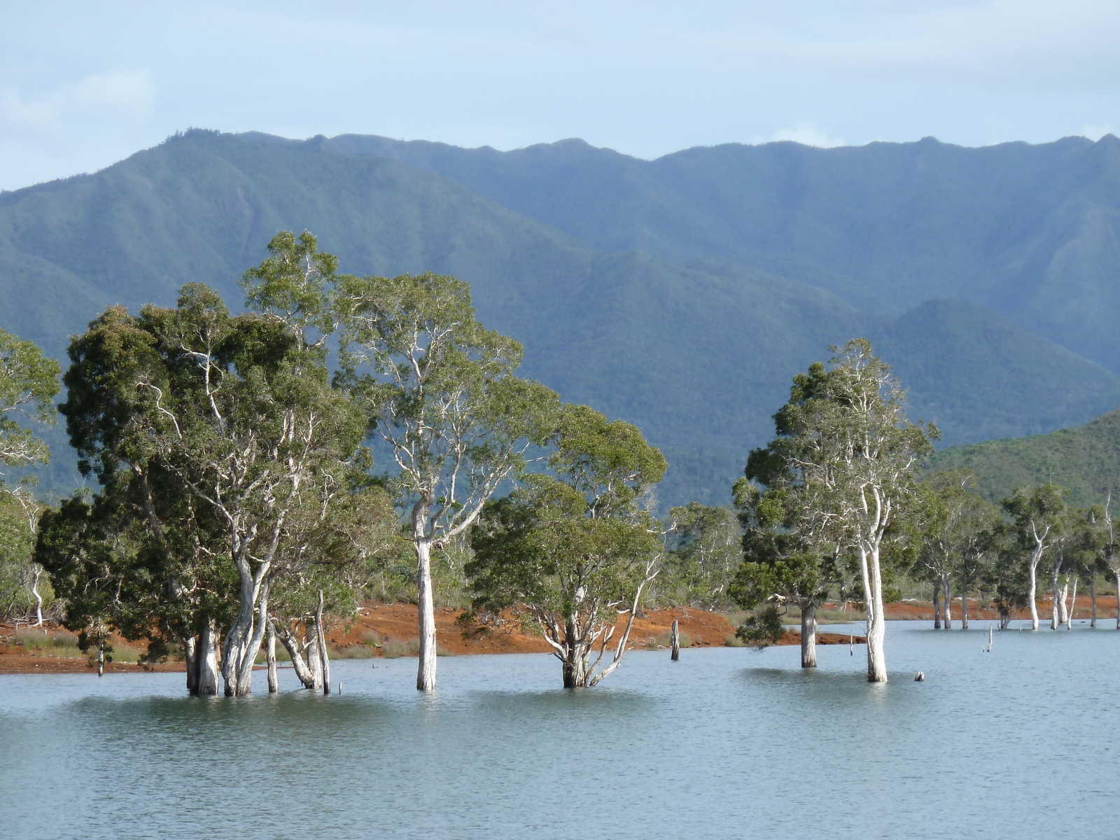 照片 新喀里多尼亚(New Caledonia) 2010-05 80