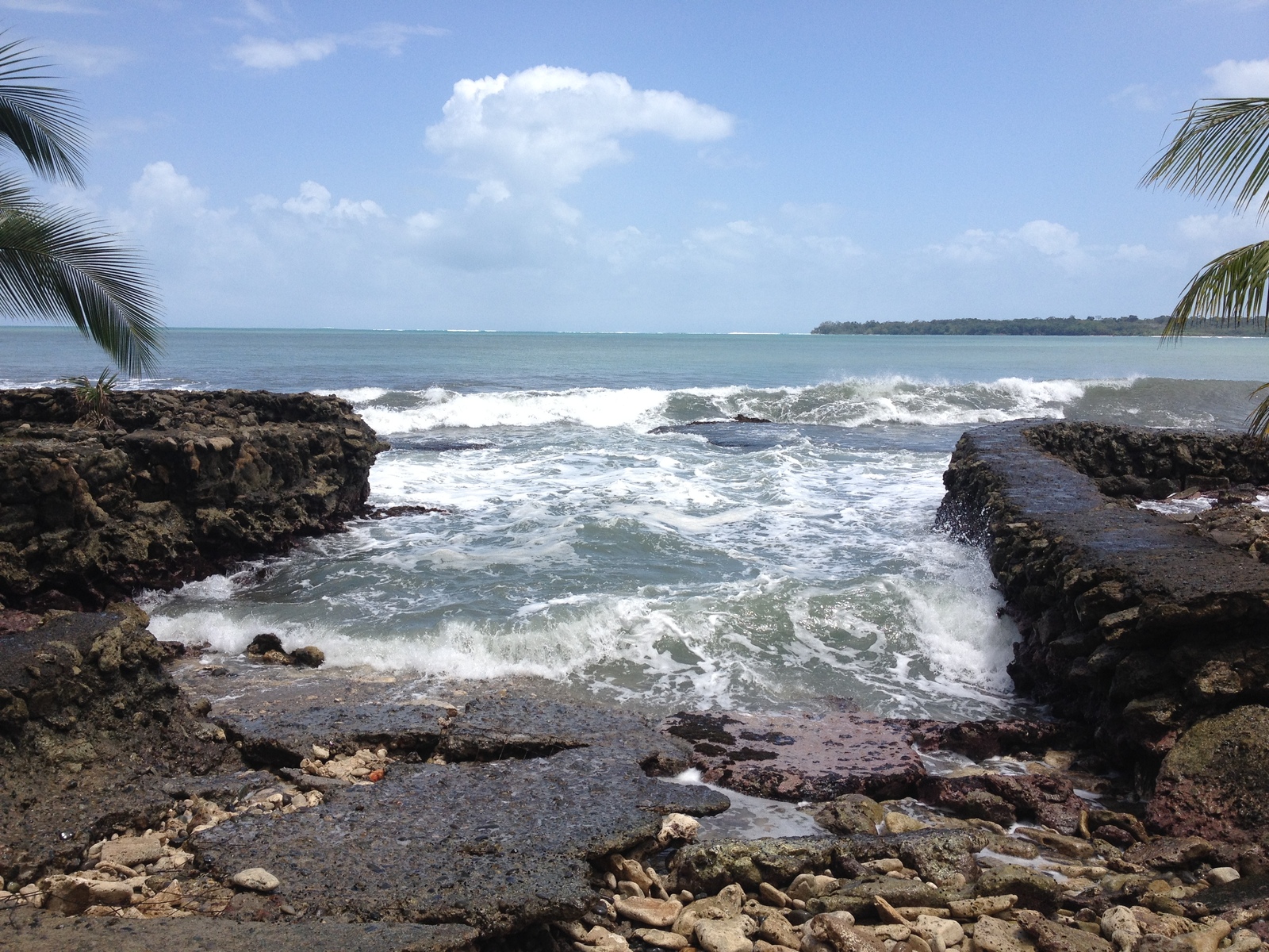 照片 哥斯达黎加(Costa Rica) 卡维塔(Cahuita) 2015-03 213