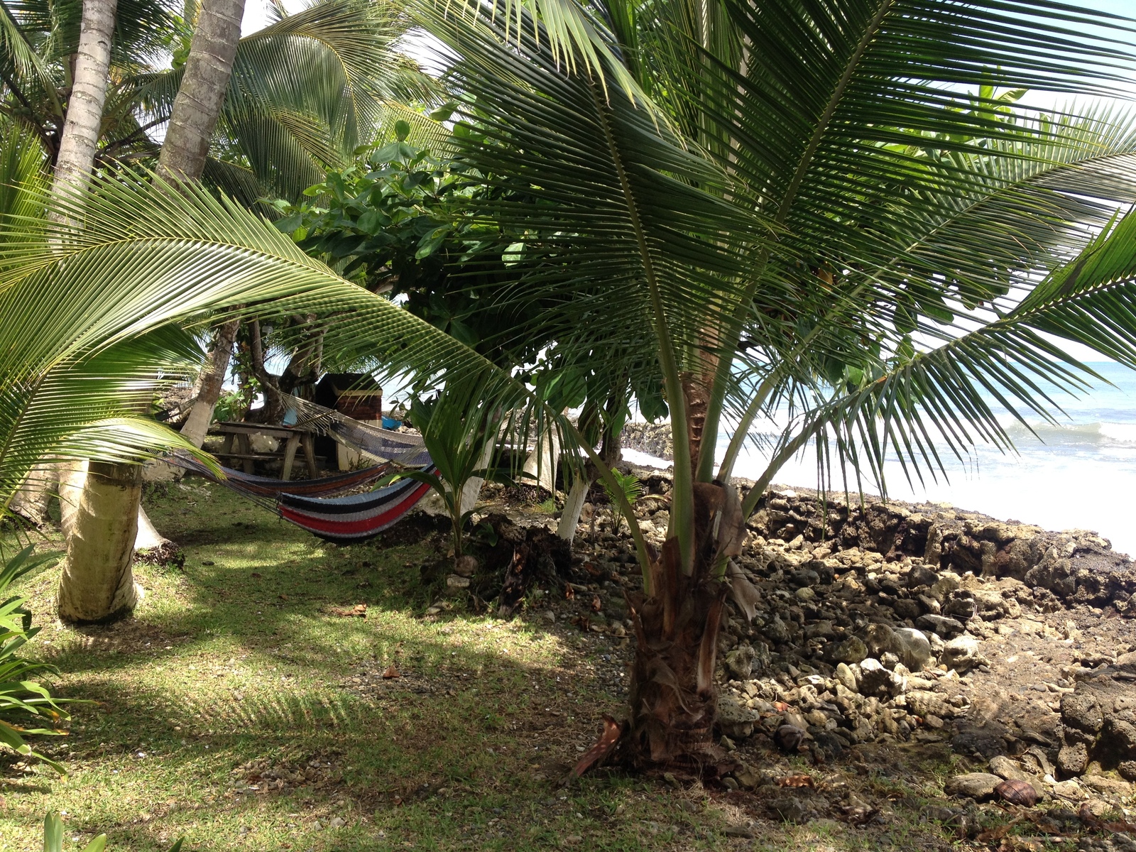 照片 哥斯达黎加(Costa Rica) 卡维塔(Cahuita) 2015-03 194