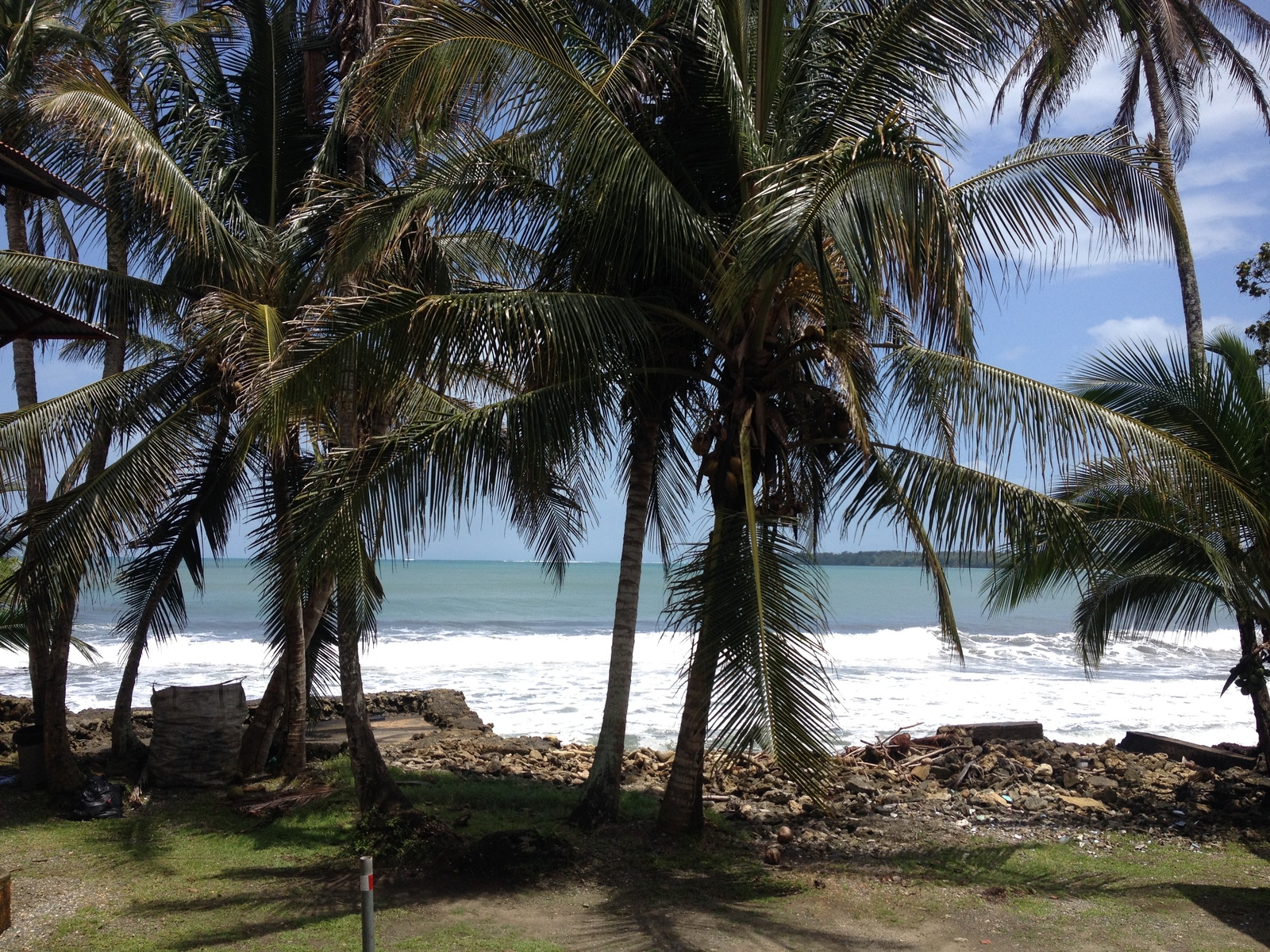 照片 哥斯达黎加(Costa Rica) 卡维塔(Cahuita) 2015-03 170