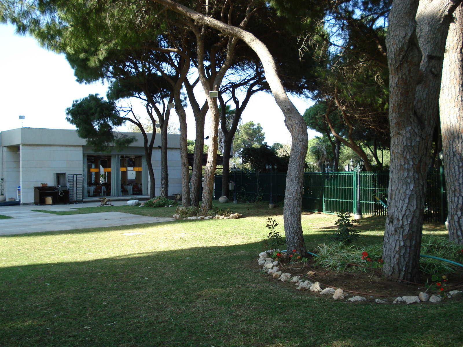 照片 以色列(Israel) 海法(Haifa) 丹卡梅尔酒店(Dan Carmel Hotel) 2006-12 7