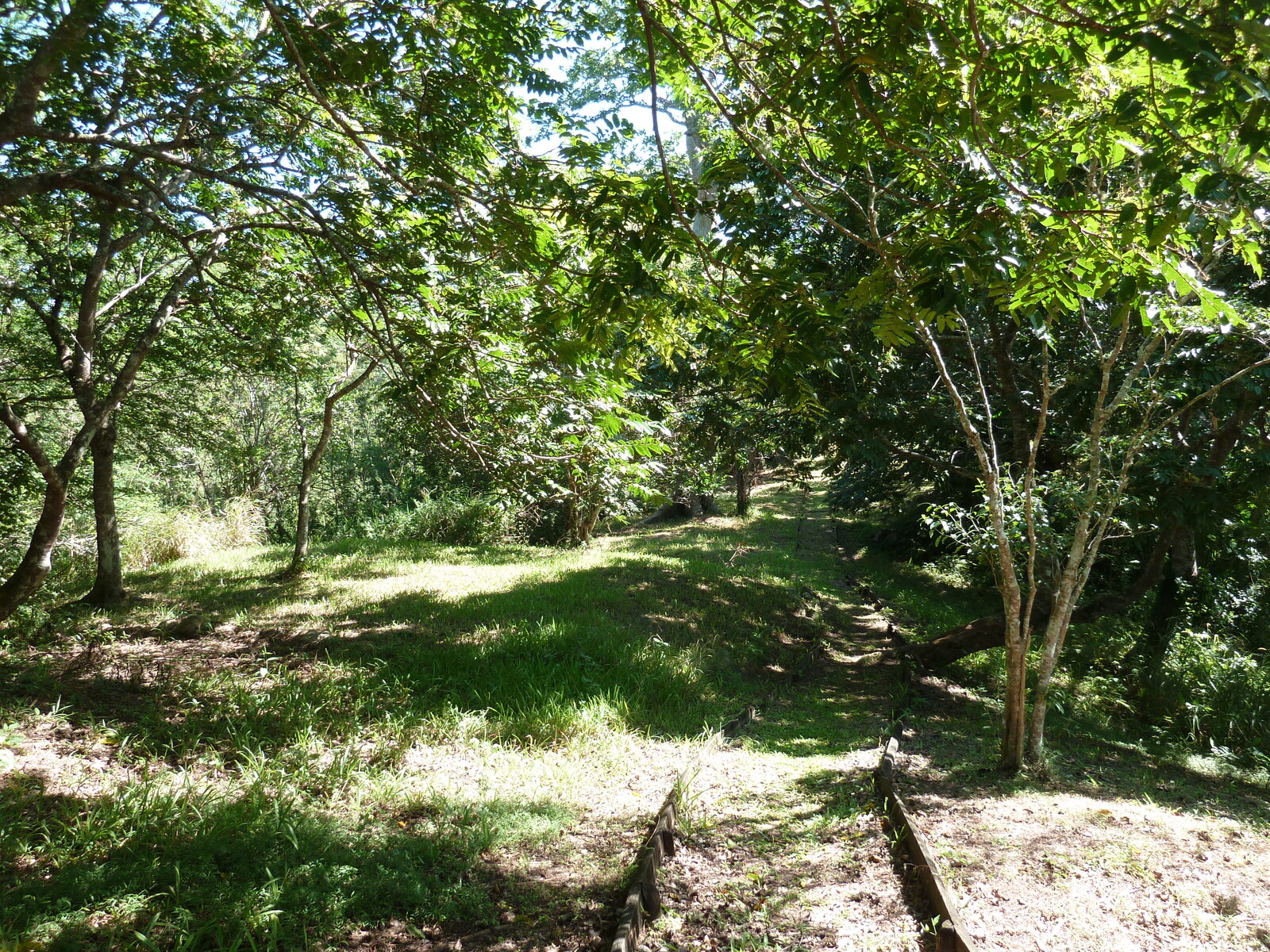照片 斐济(Fiji) 塔武尼山堡(Tavuni Hill Fort) 2010-05 11