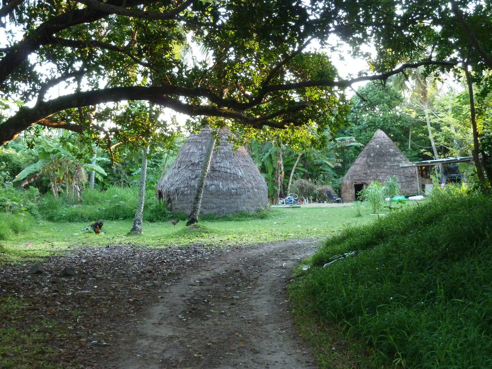 照片 新喀里多尼亚(New Caledonia) 利富岛(Lifou) 韦(We) 2010-05 25