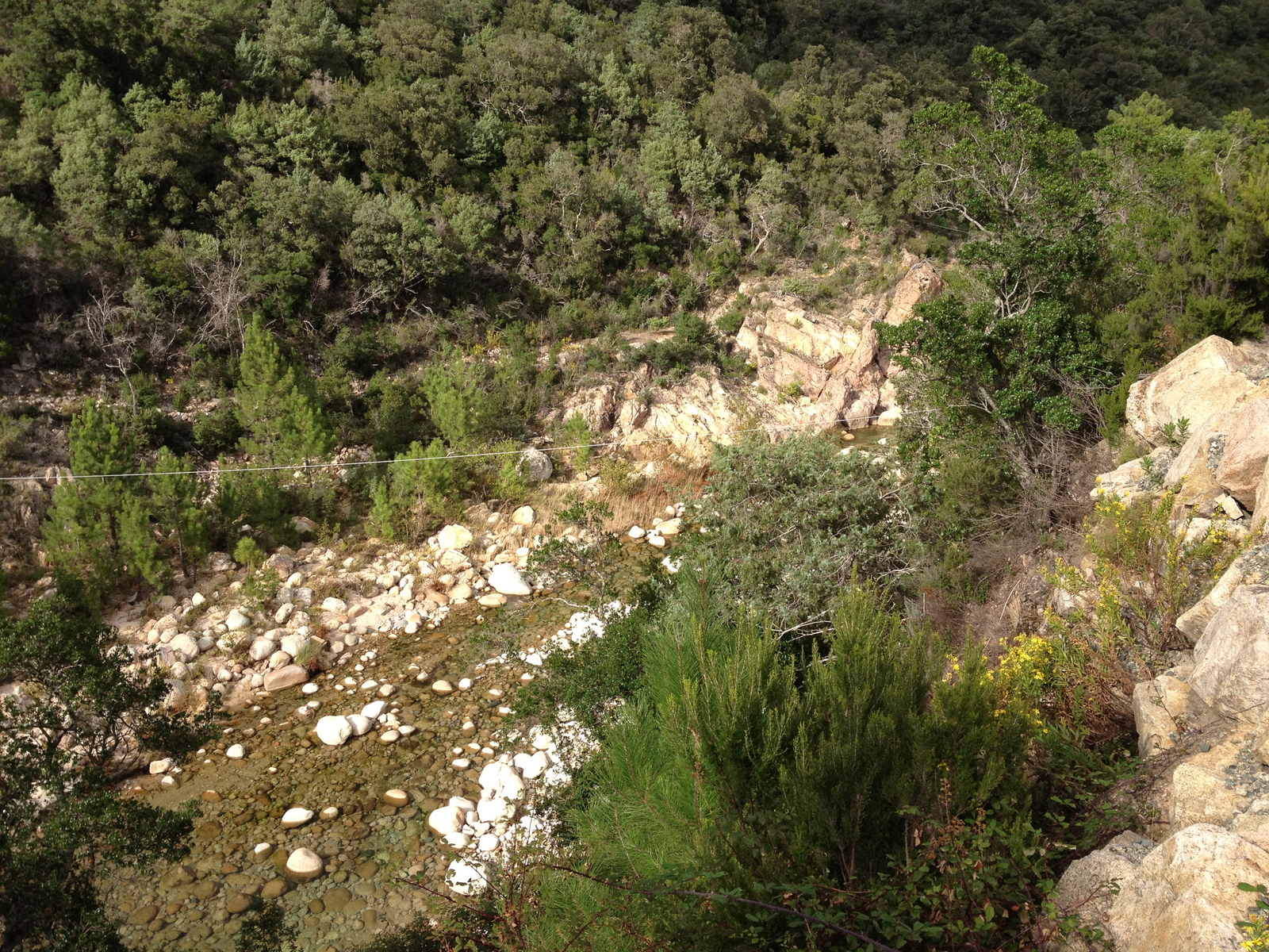 照片 法国(France) 科西嘉岛(Corsica) 索伦扎拉(Solenzara) 2012-09 18